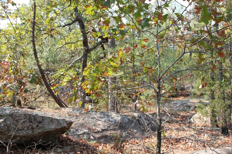 Lake View Ranch Tract 30 photo 5