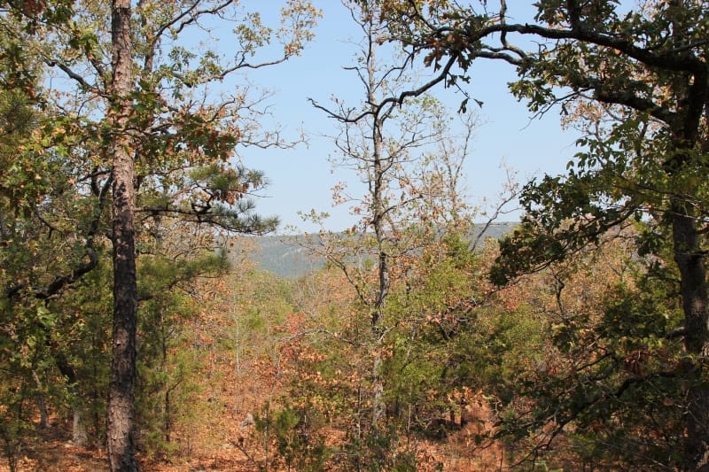 Lake View Ranch Tract 30 photo 6