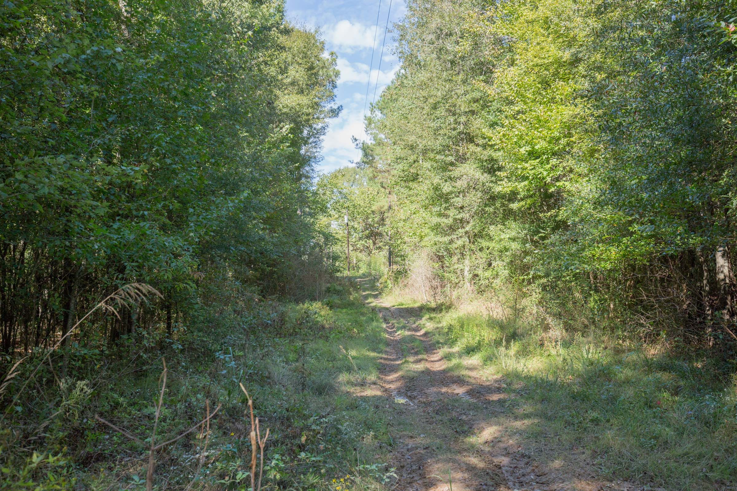 Brentwood Tract 10 photo 4