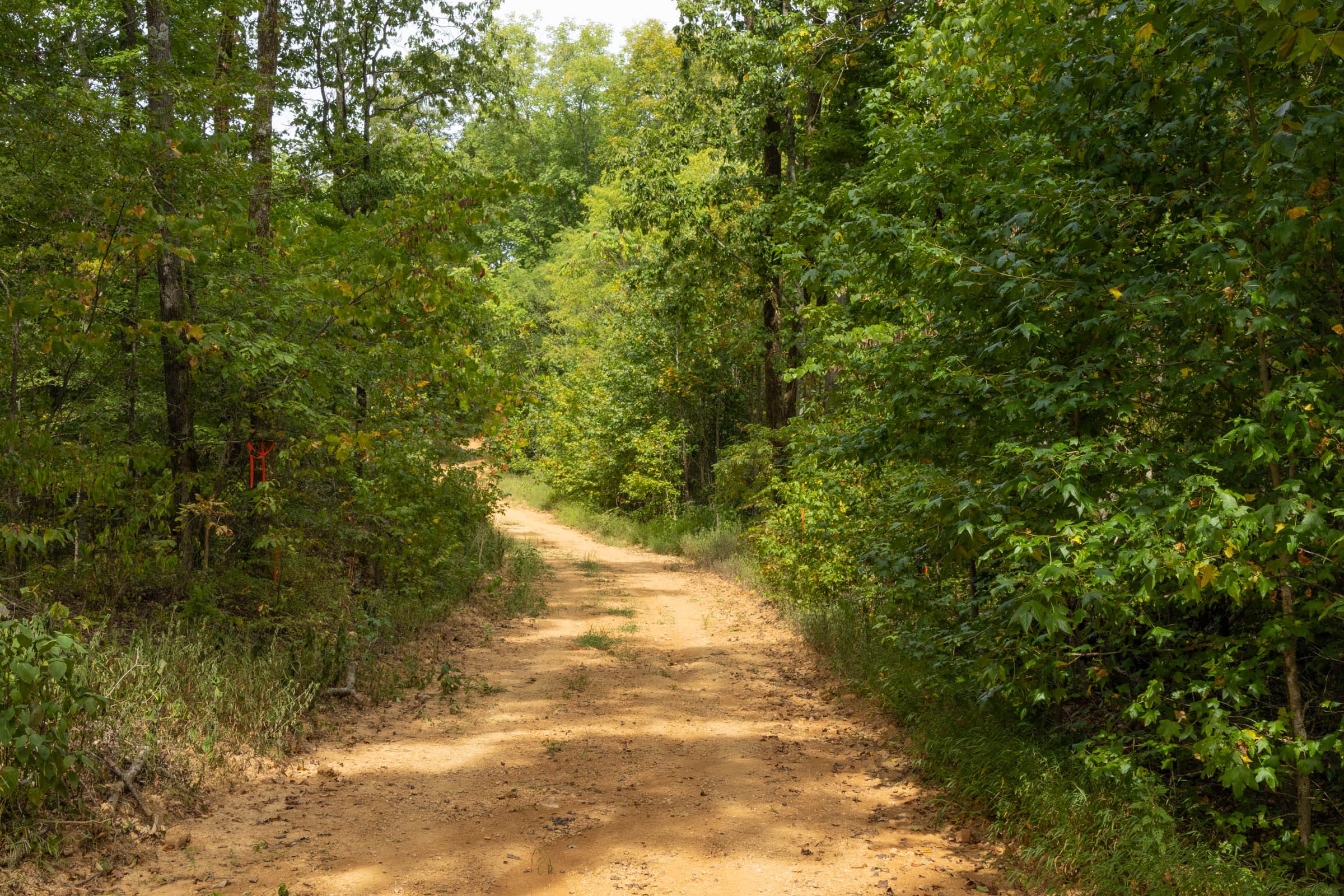 Big White Oak Tract 7 photo 10