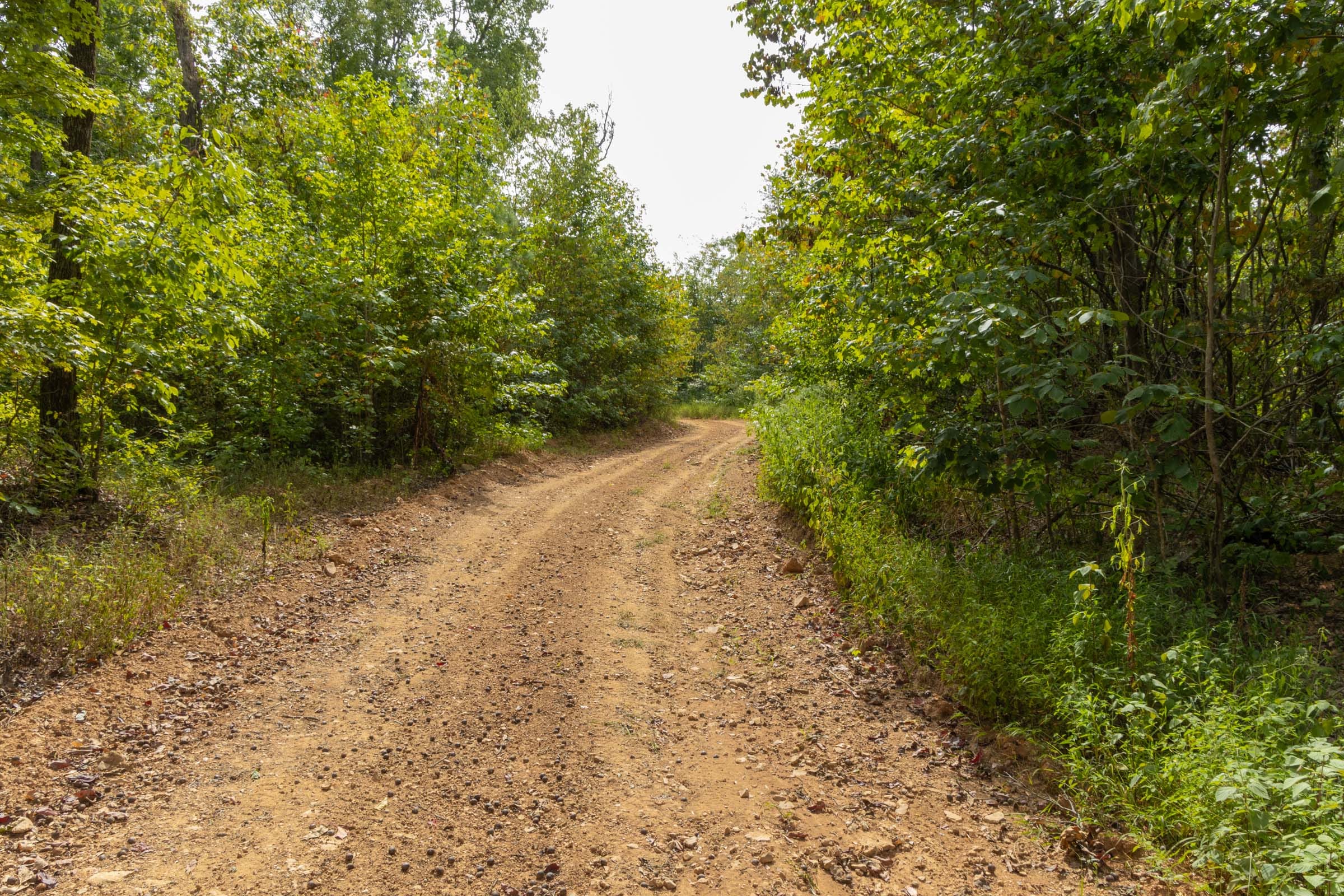 Big White Oak Tract 7 photo 7
