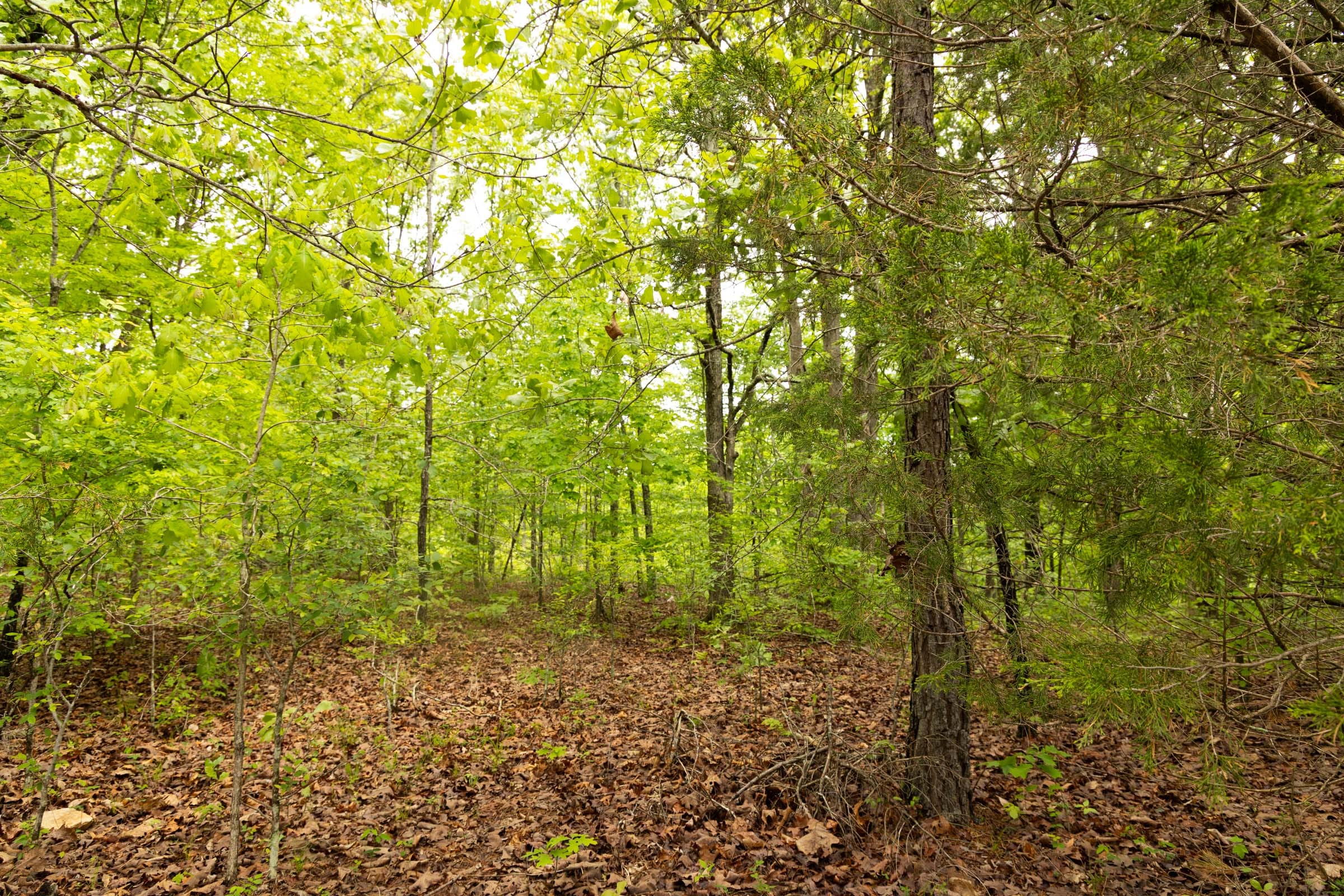 Stardust Estates Tract 25 photo 11