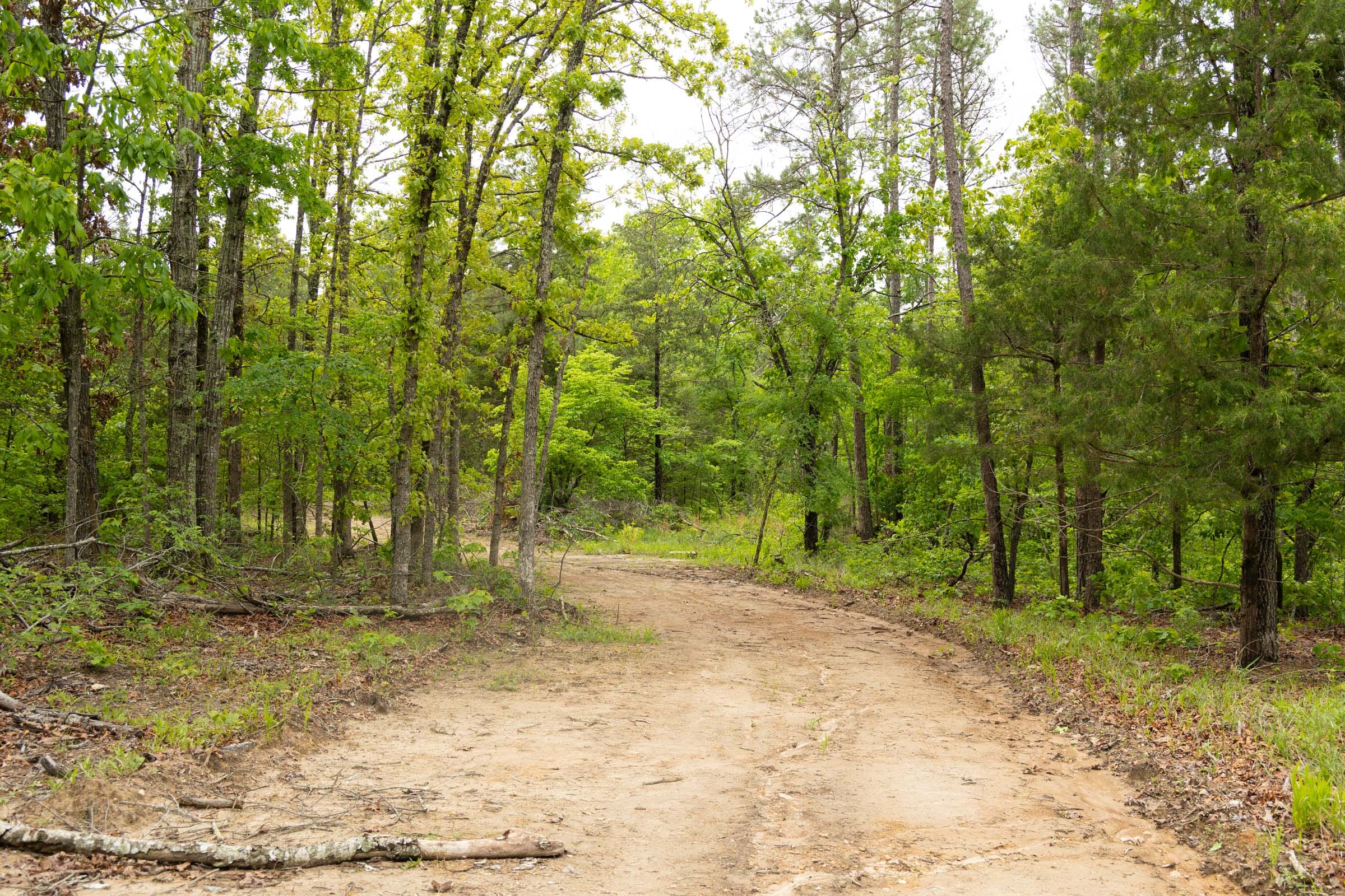 Stardust Estates Tract 25 photo 10