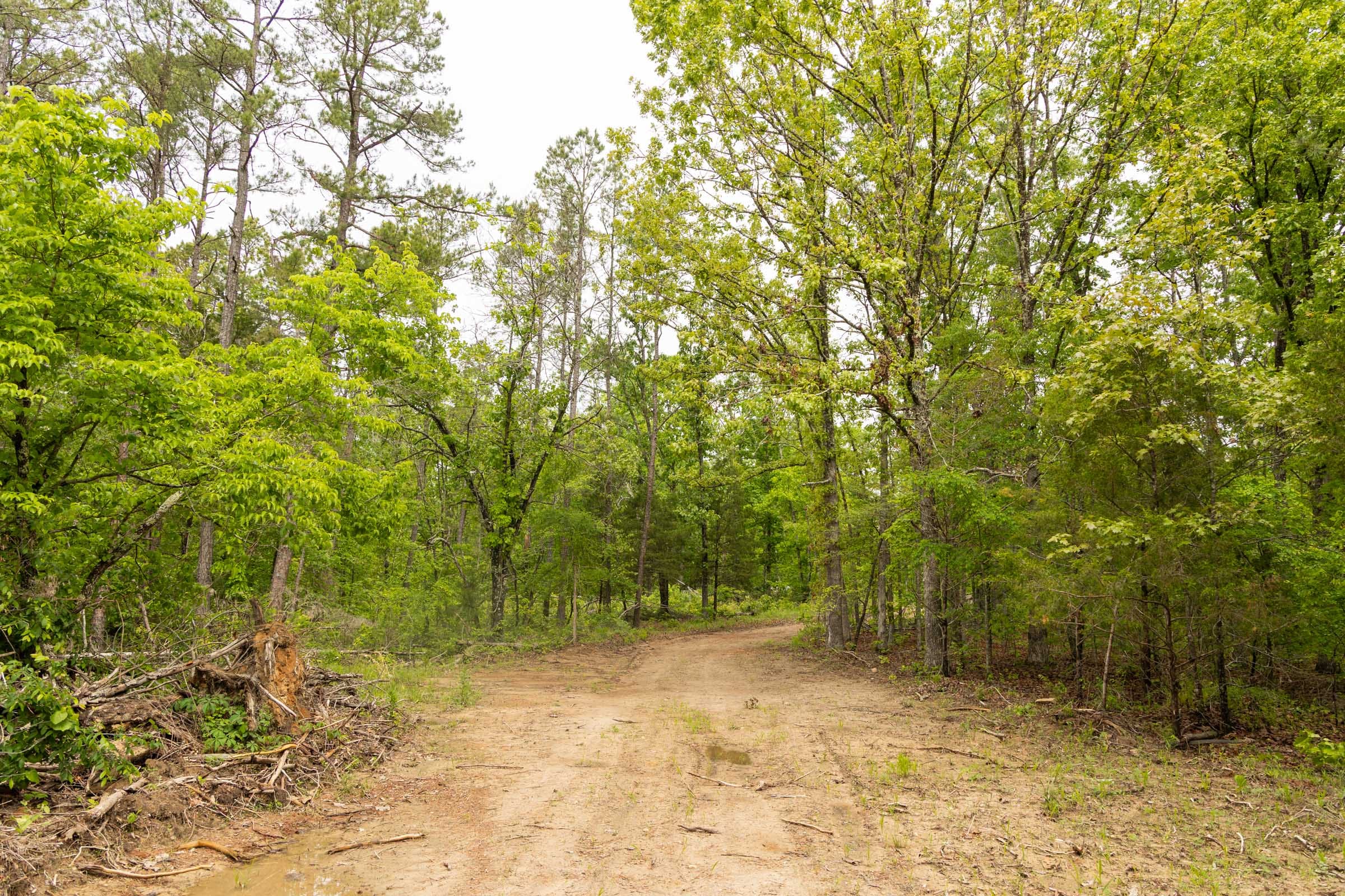 Stardust Estates Tract 25 photo 6