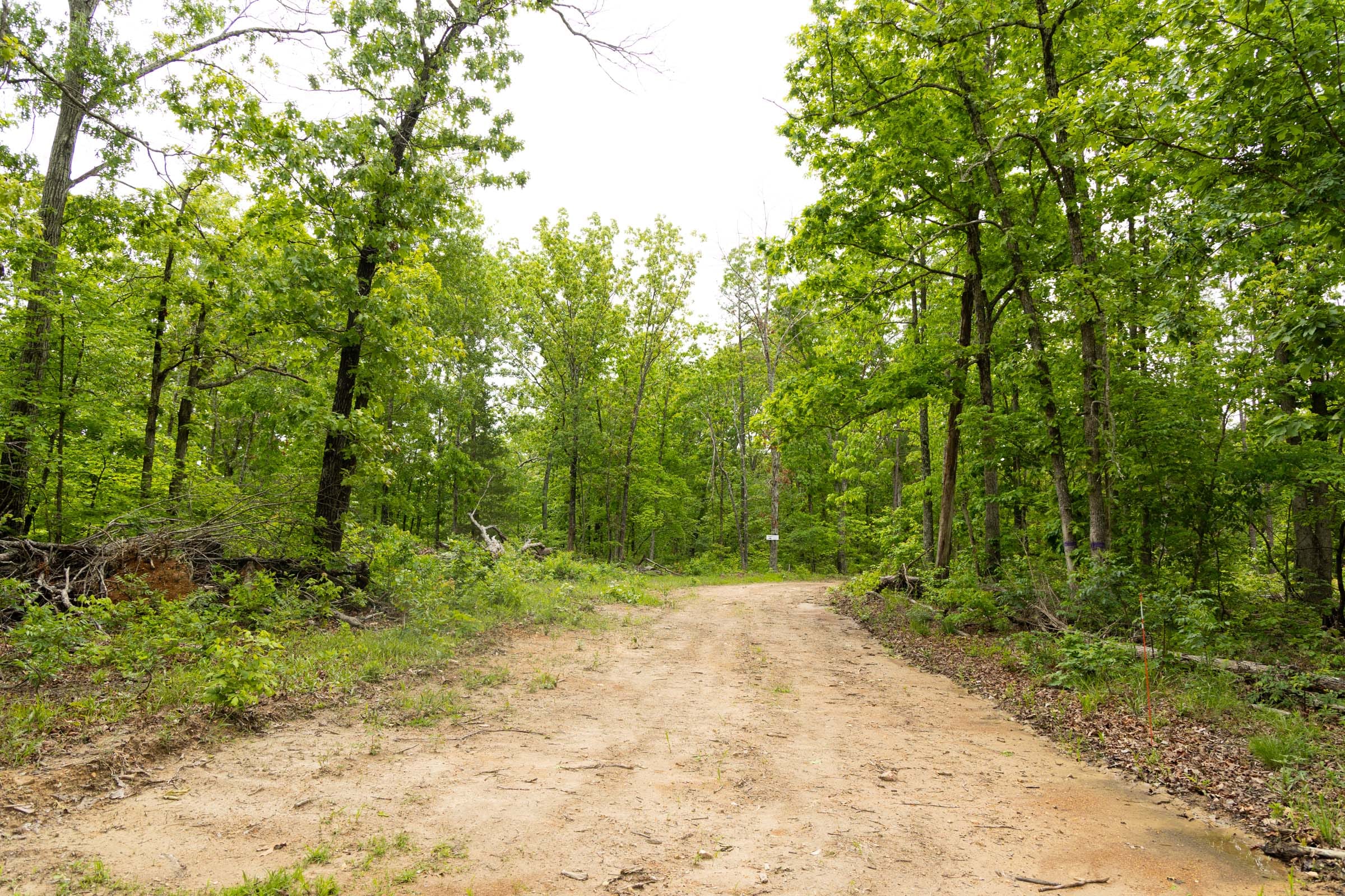 Stardust Estates Tract 25 photo 2