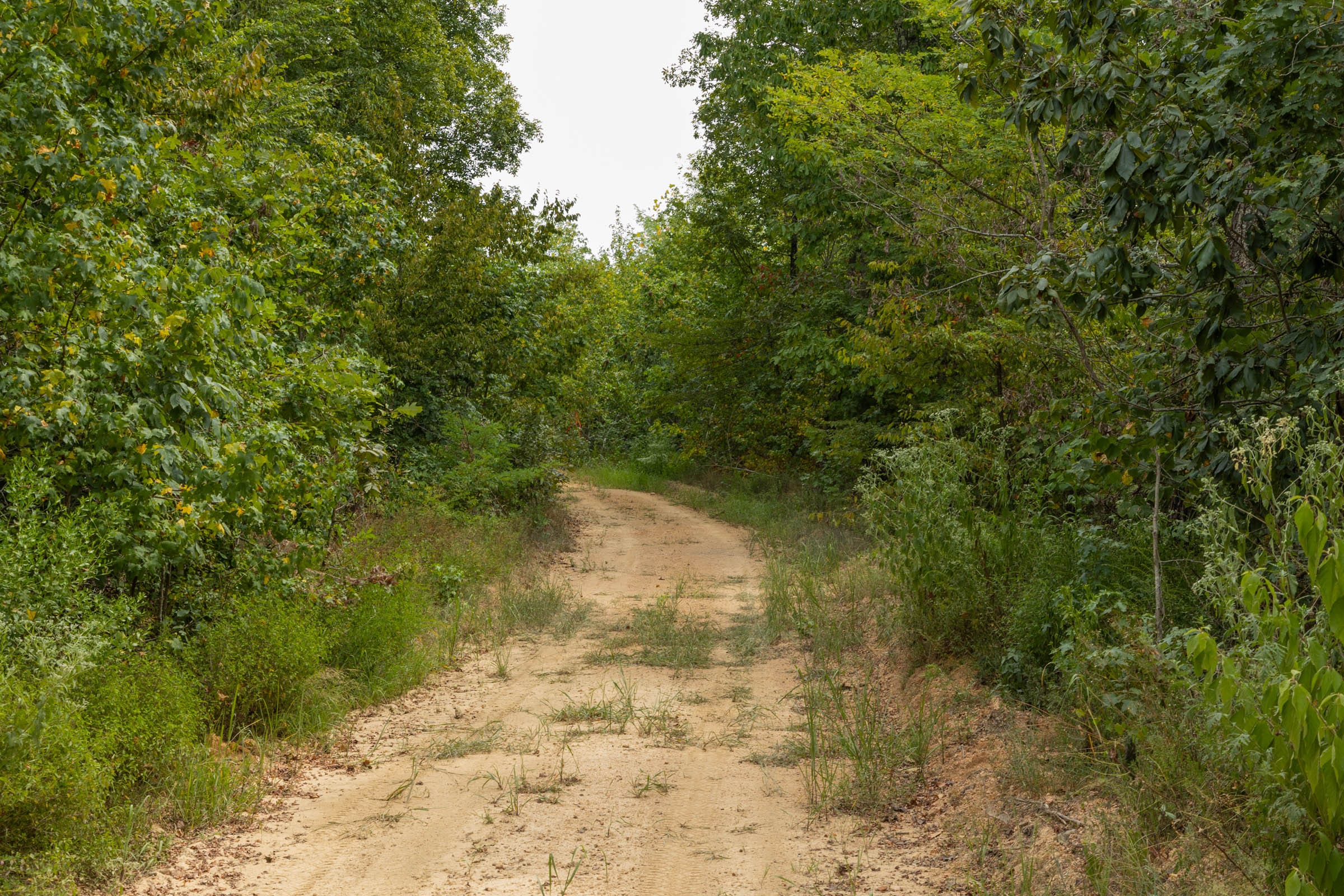 Big White Oak Tract 3 photo 9