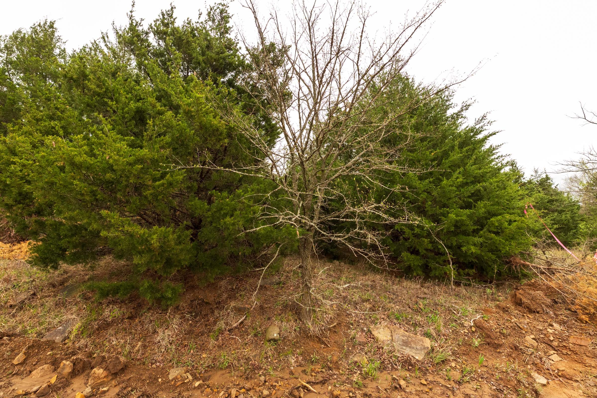 Moonrise Meadows Tract 10 photo 2