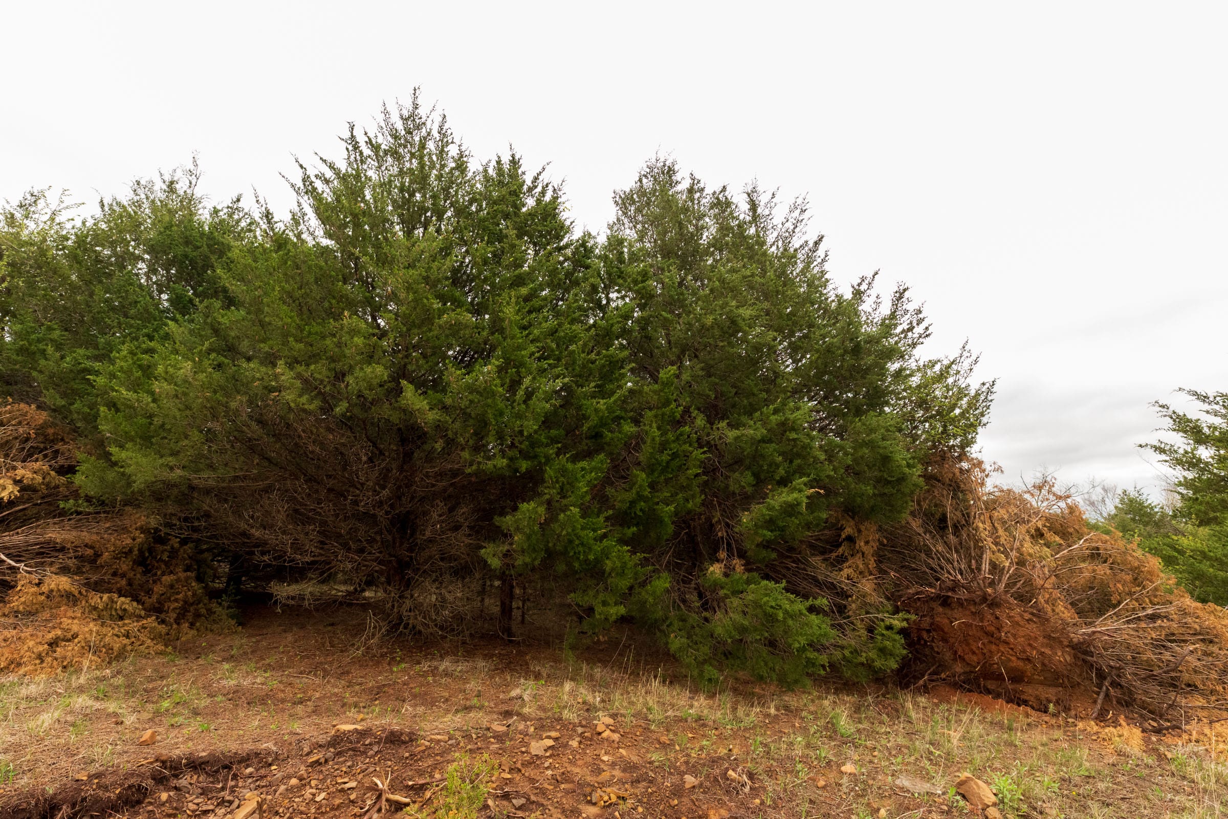 Moonrise Meadows Tract 10 photo 6
