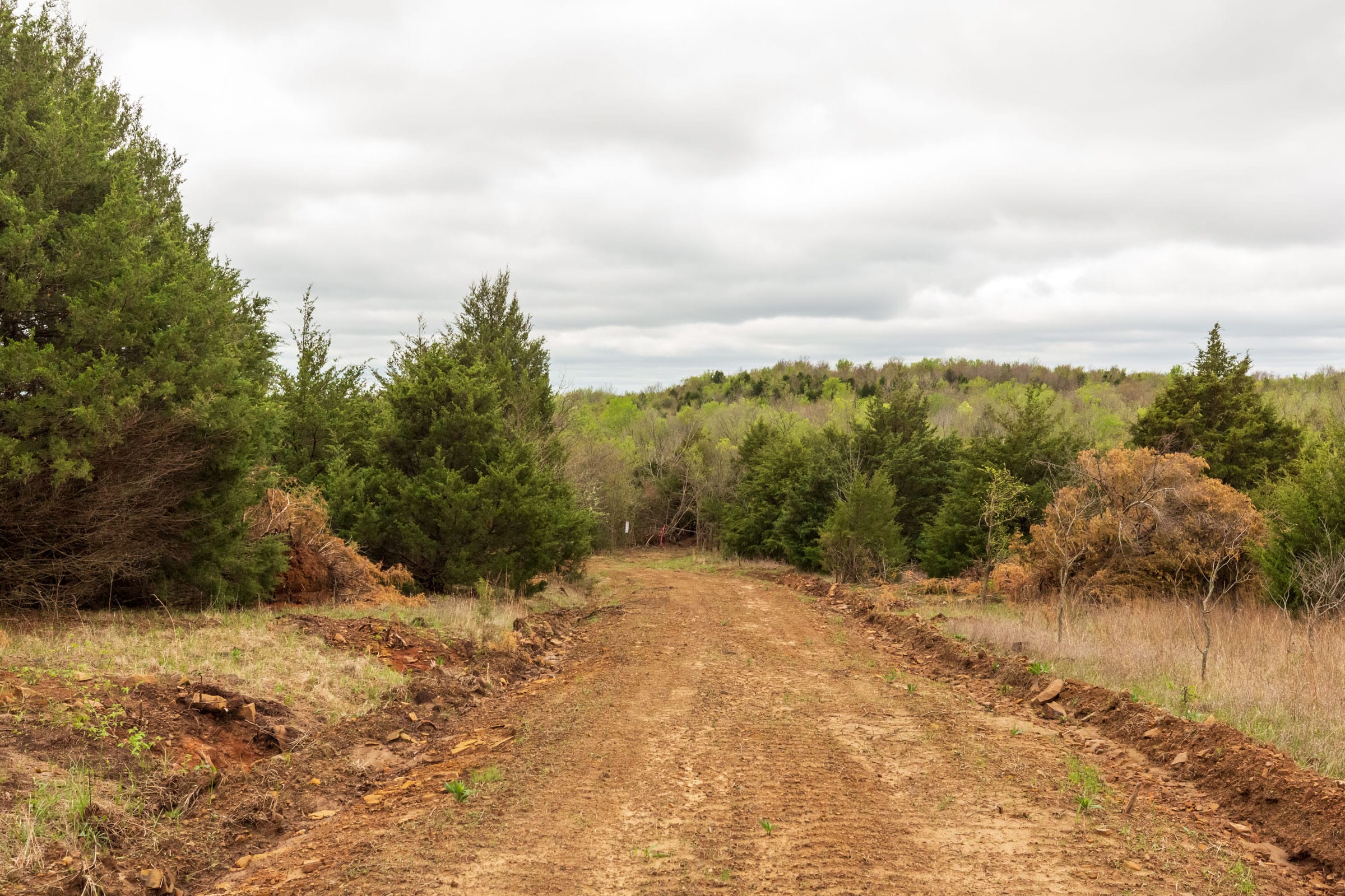 Moonrise Meadows Tract 10 photo 7