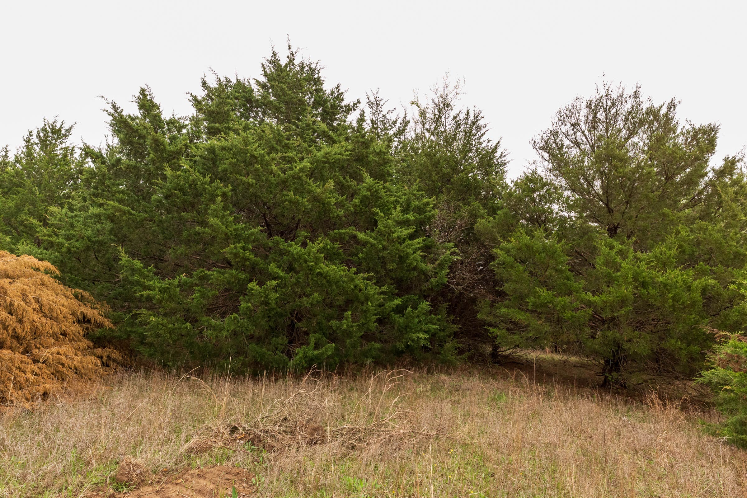 Moonrise Meadows Tract 10 photo 12