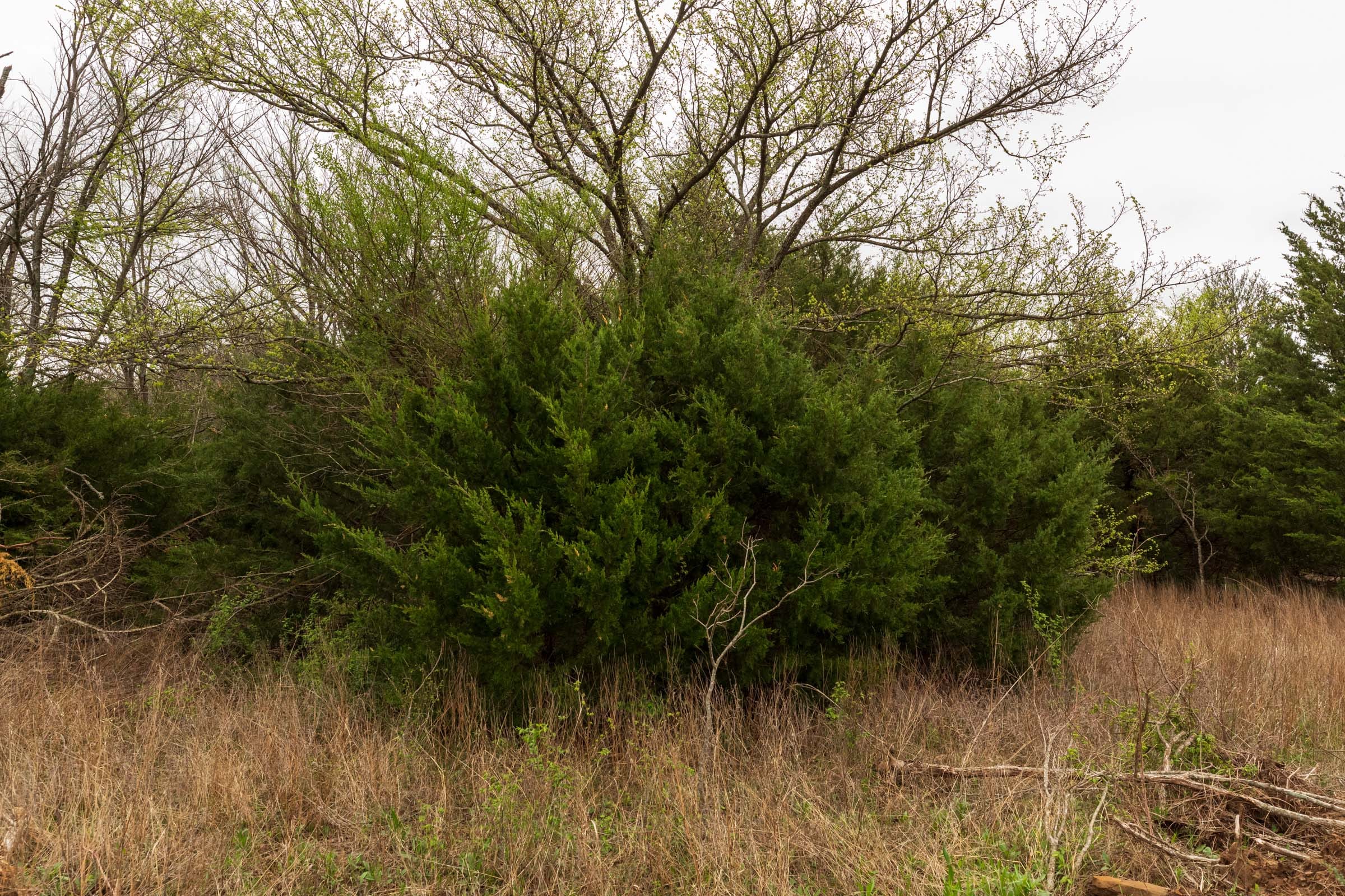 Moonrise Meadows Tract 10 photo 11