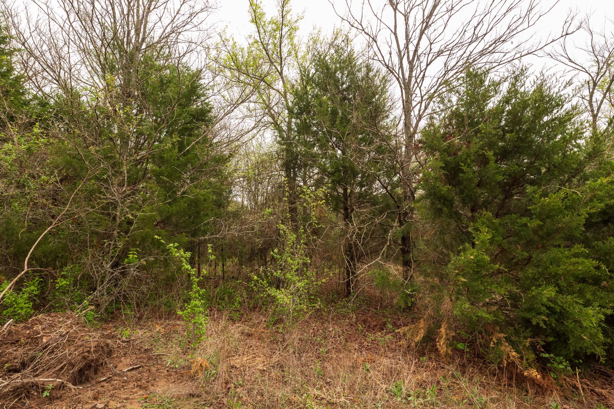 Moonrise Meadows Tract 10 photo 8