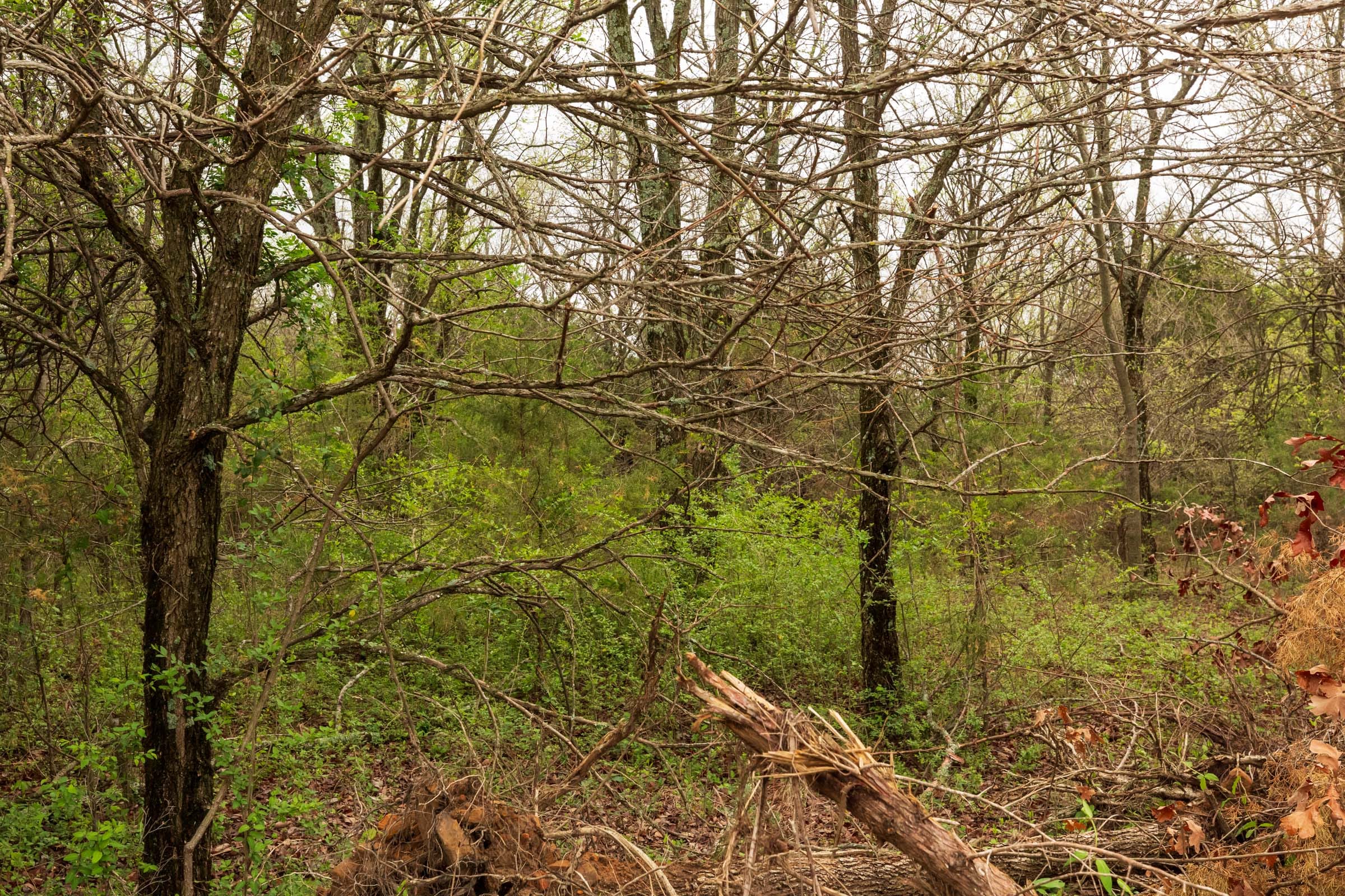 Moonrise Meadows Tract 10 photo 4