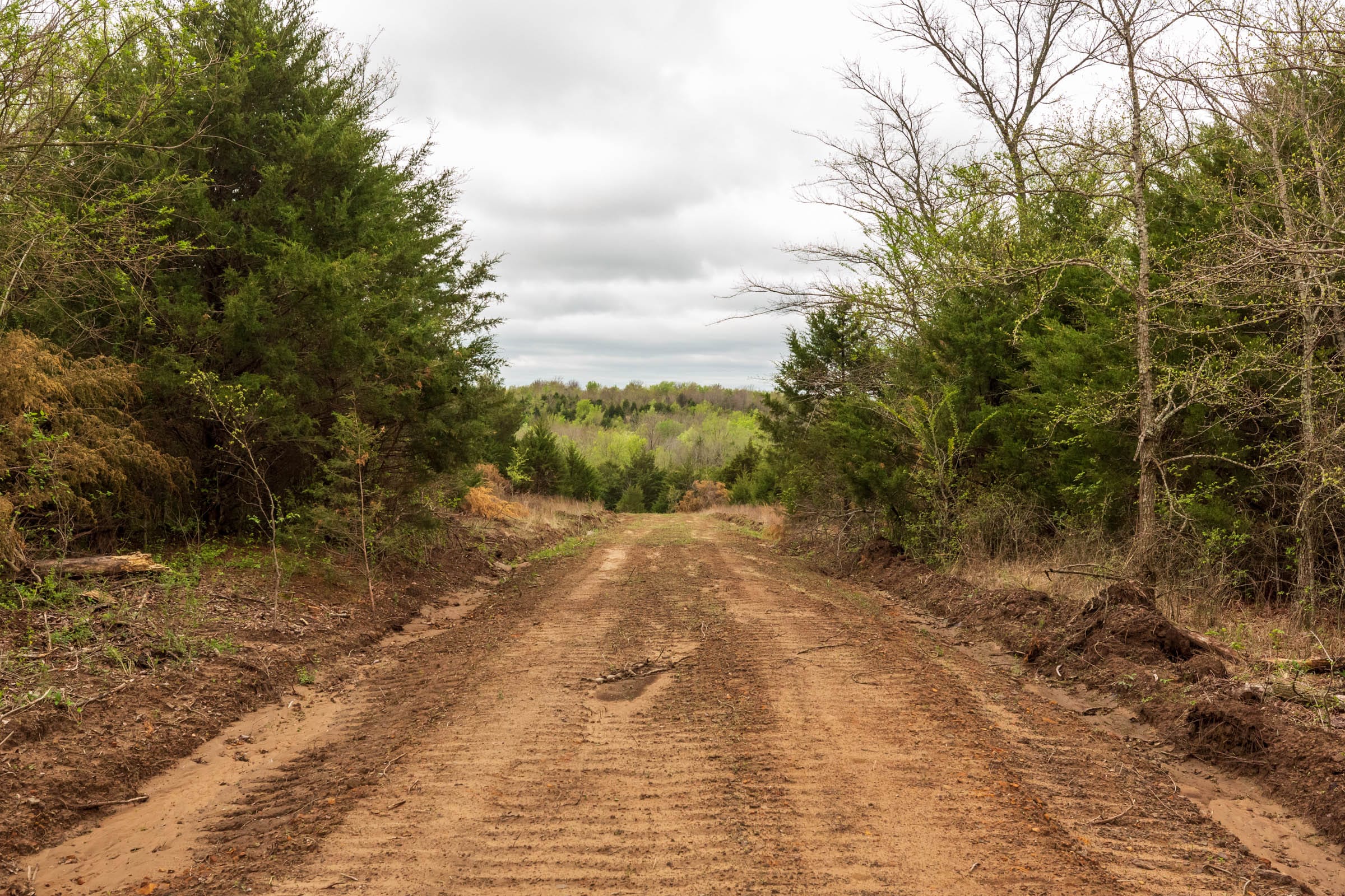 Moonrise Meadows Tract 10 photo 1