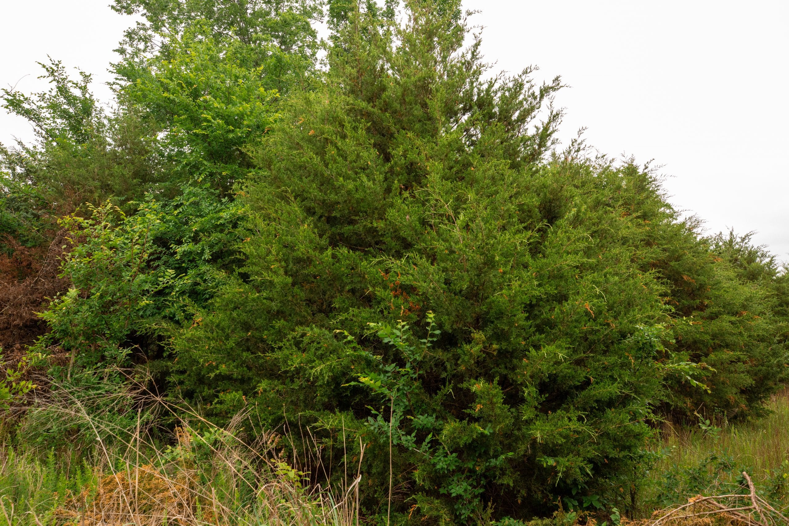 Moonrise Meadows Tract 10 photo 3