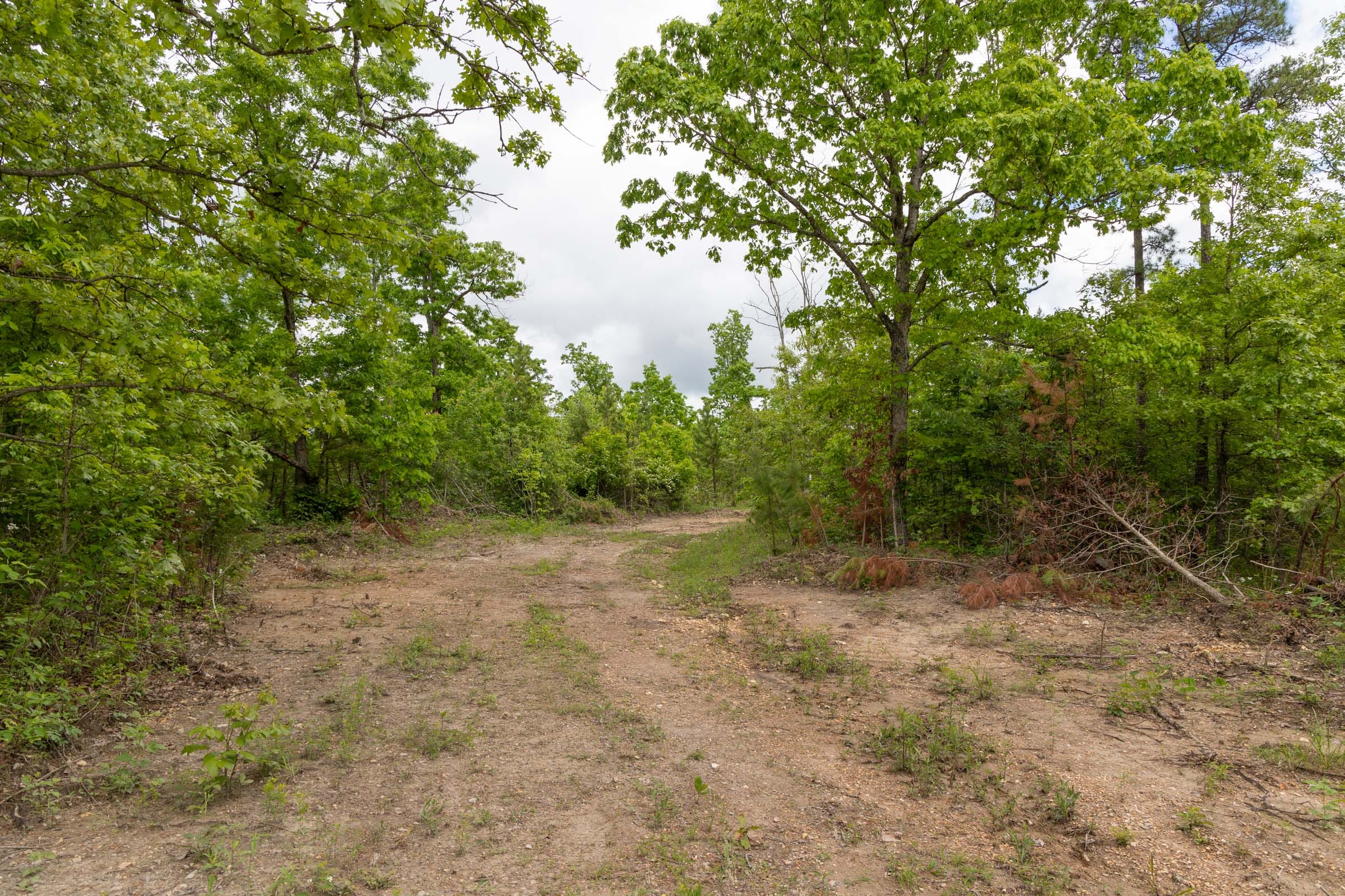 Sleepy Hollow Phase II Tract 75 photo 5
