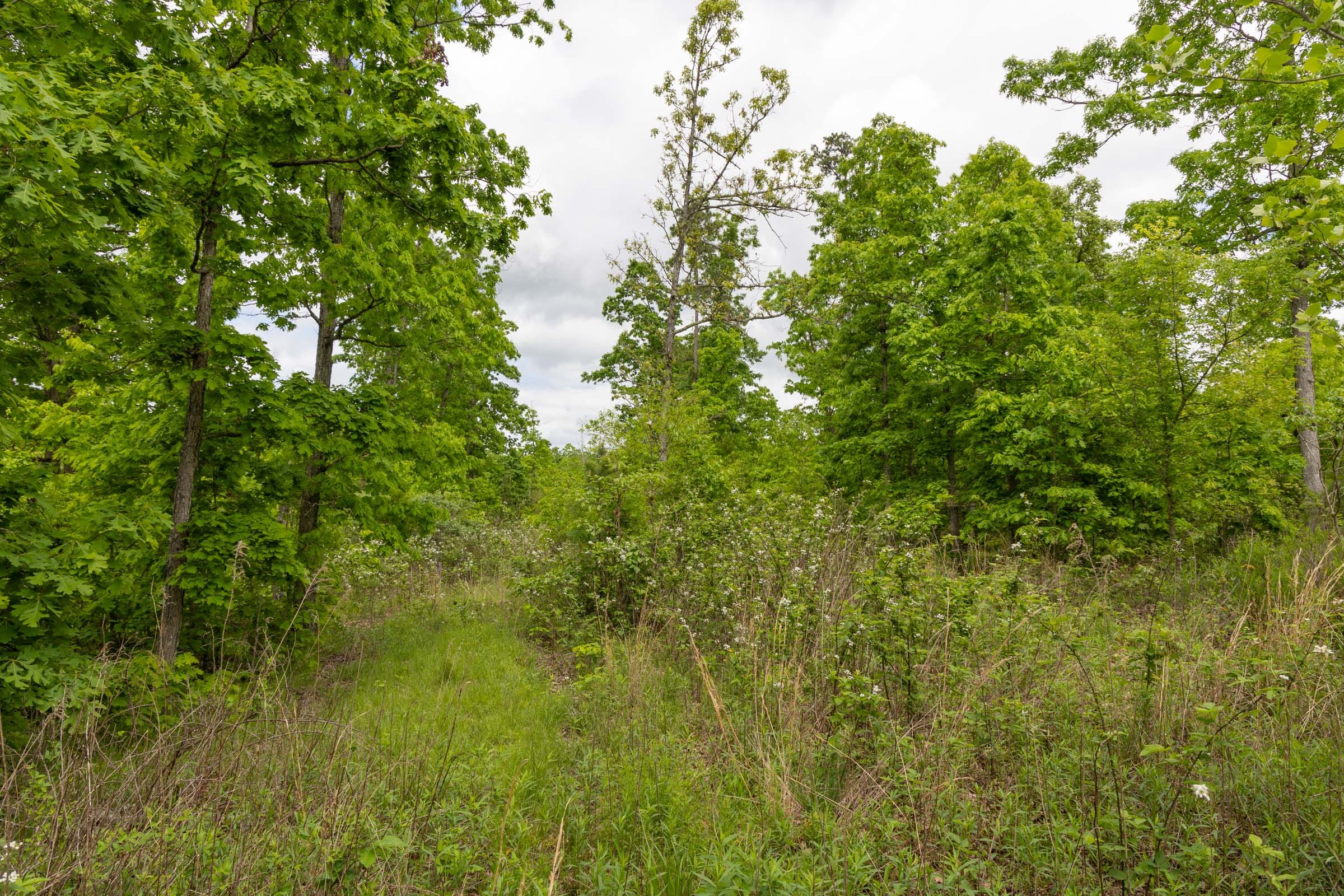 Sleepy Hollow Phase II Tract 75 photo 10
