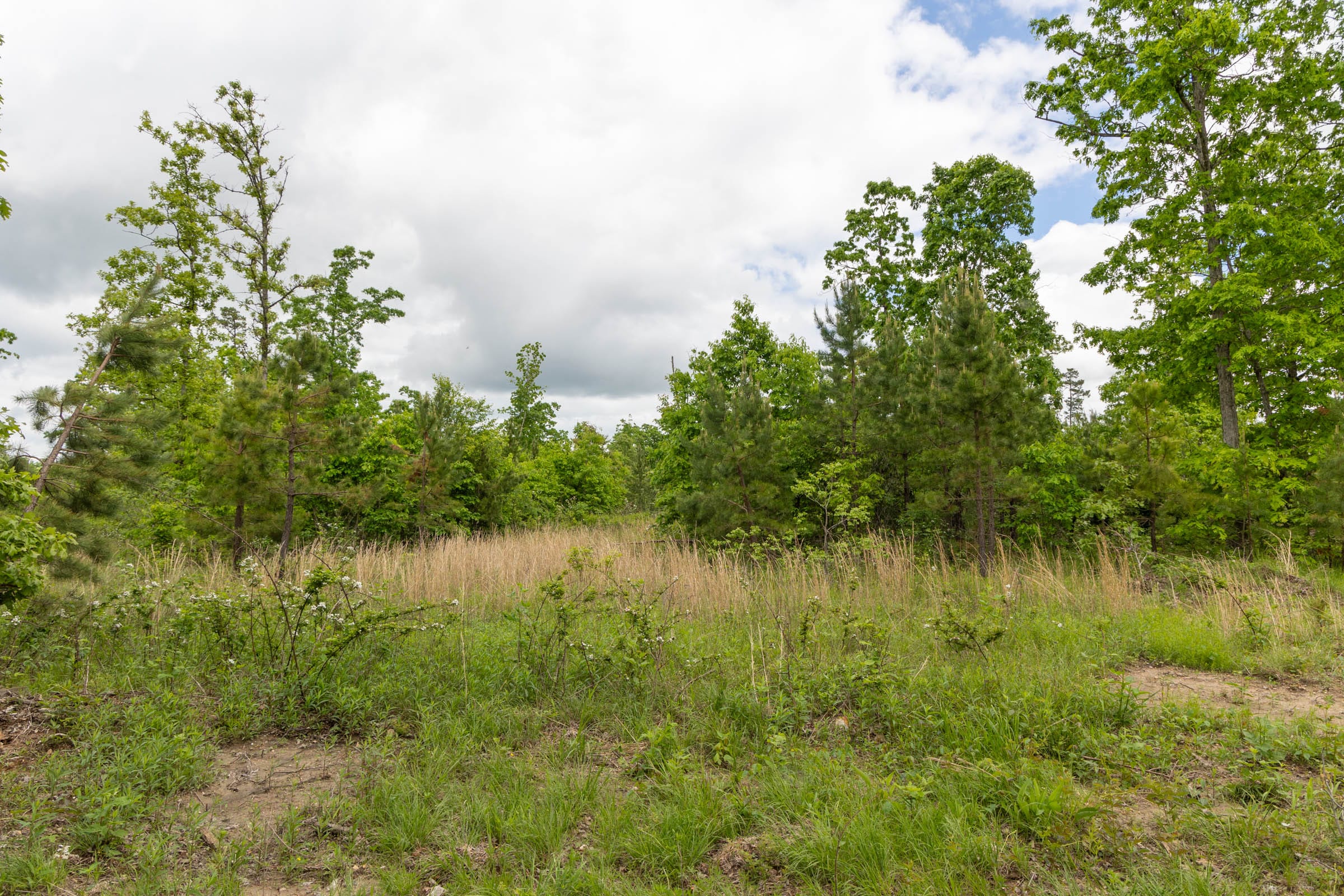 Sleepy Hollow Phase II Tract 75 photo 9
