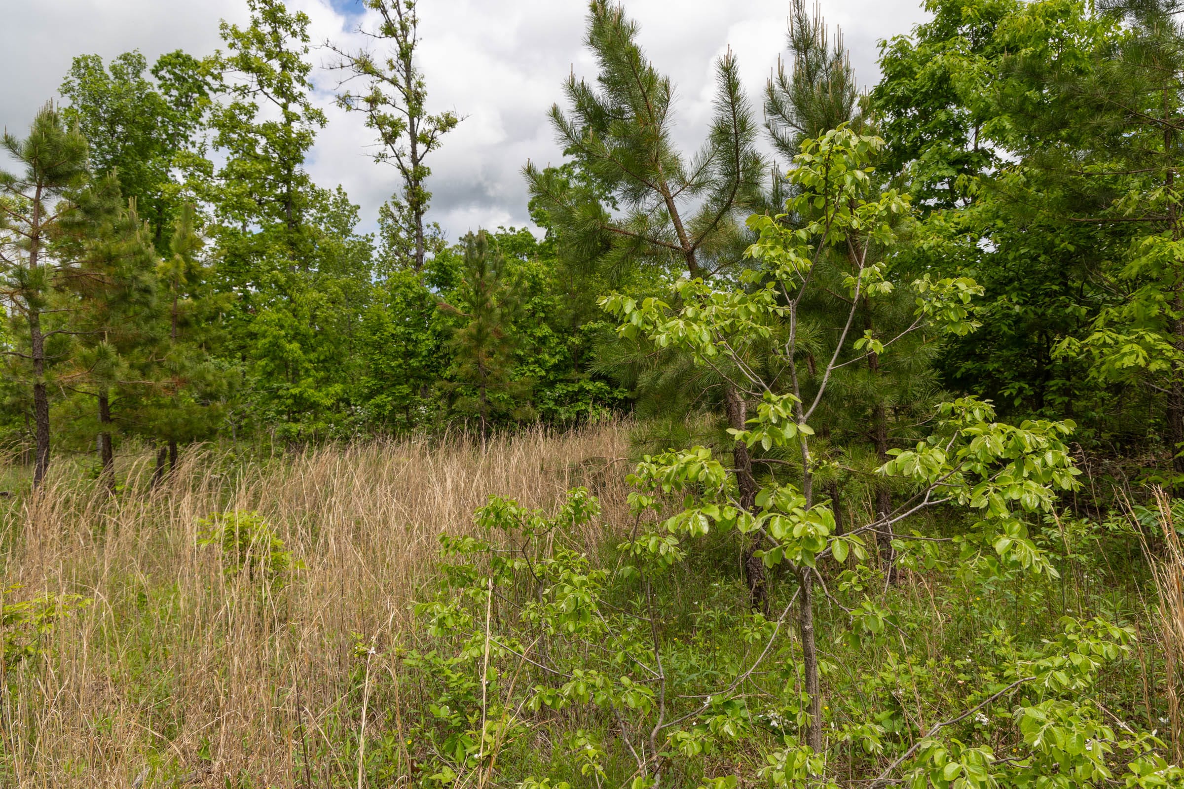 Sleepy Hollow Phase II Tract 75 photo 8
