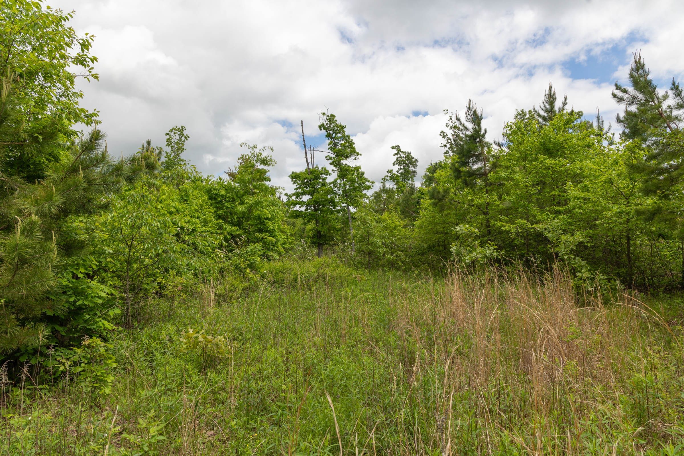 Sleepy Hollow Phase II Tract 75 photo 3