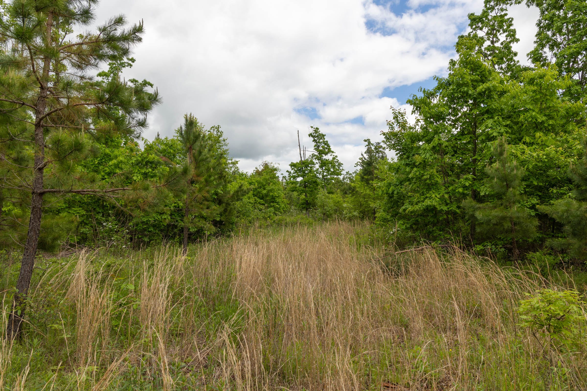 Sleepy Hollow Phase II Tract 75 photo 4
