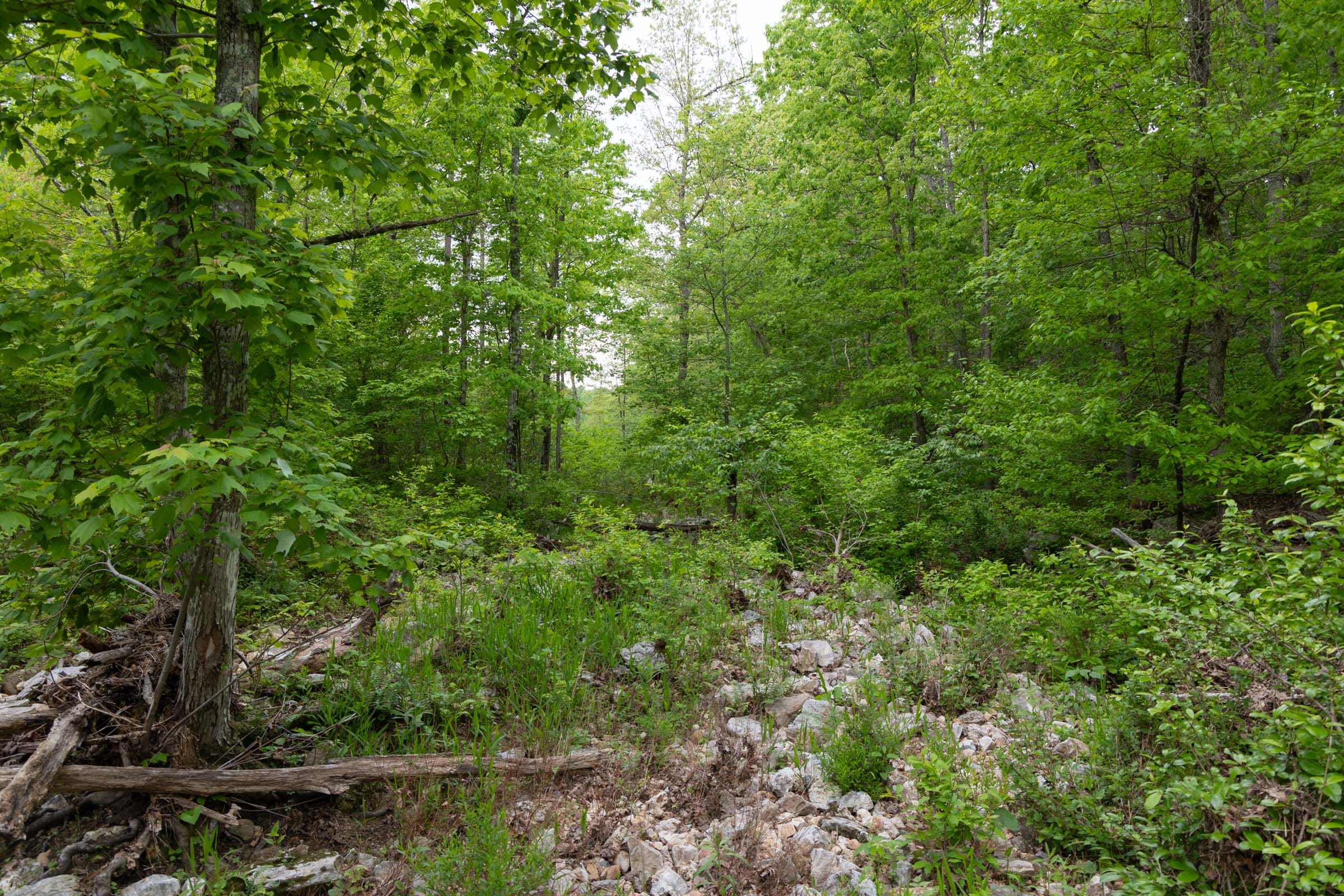 Sleepy Hollow Phase II Tract 75 photo 2