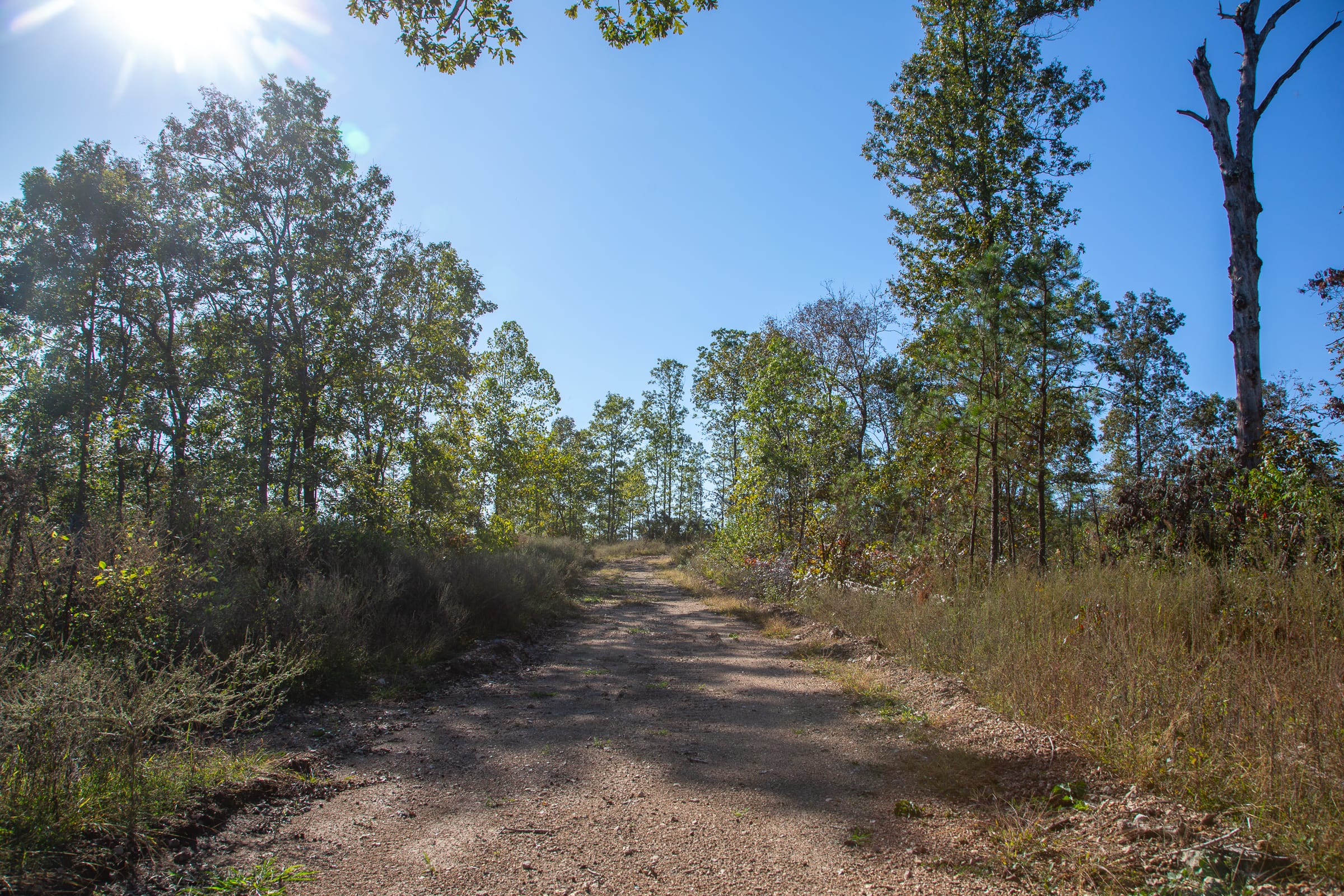 Borgmann’s Hollow Phase IV Tract 115 photo 1