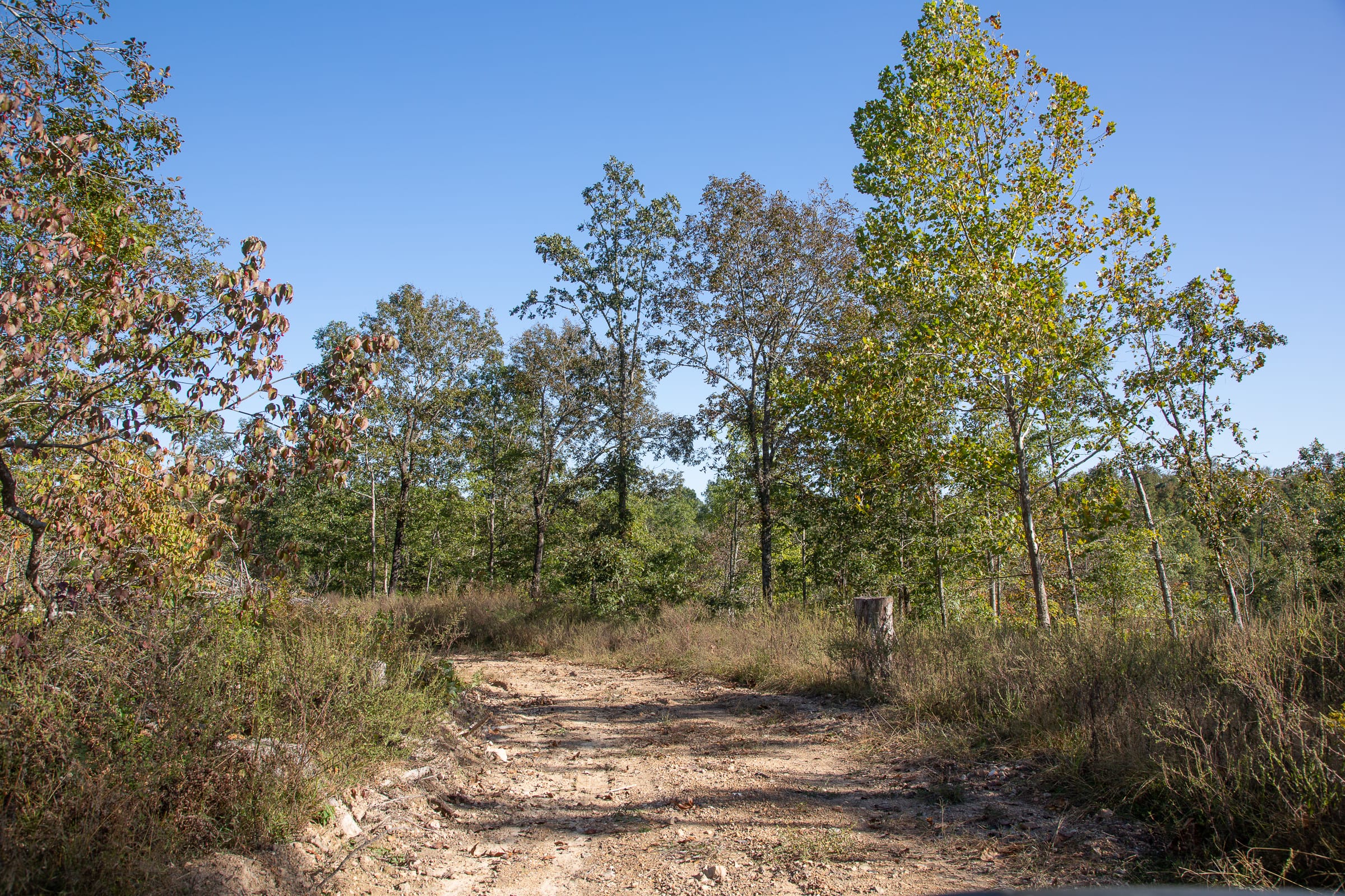 Borgmann’s Hollow Phase IV Tract 115 photo 6