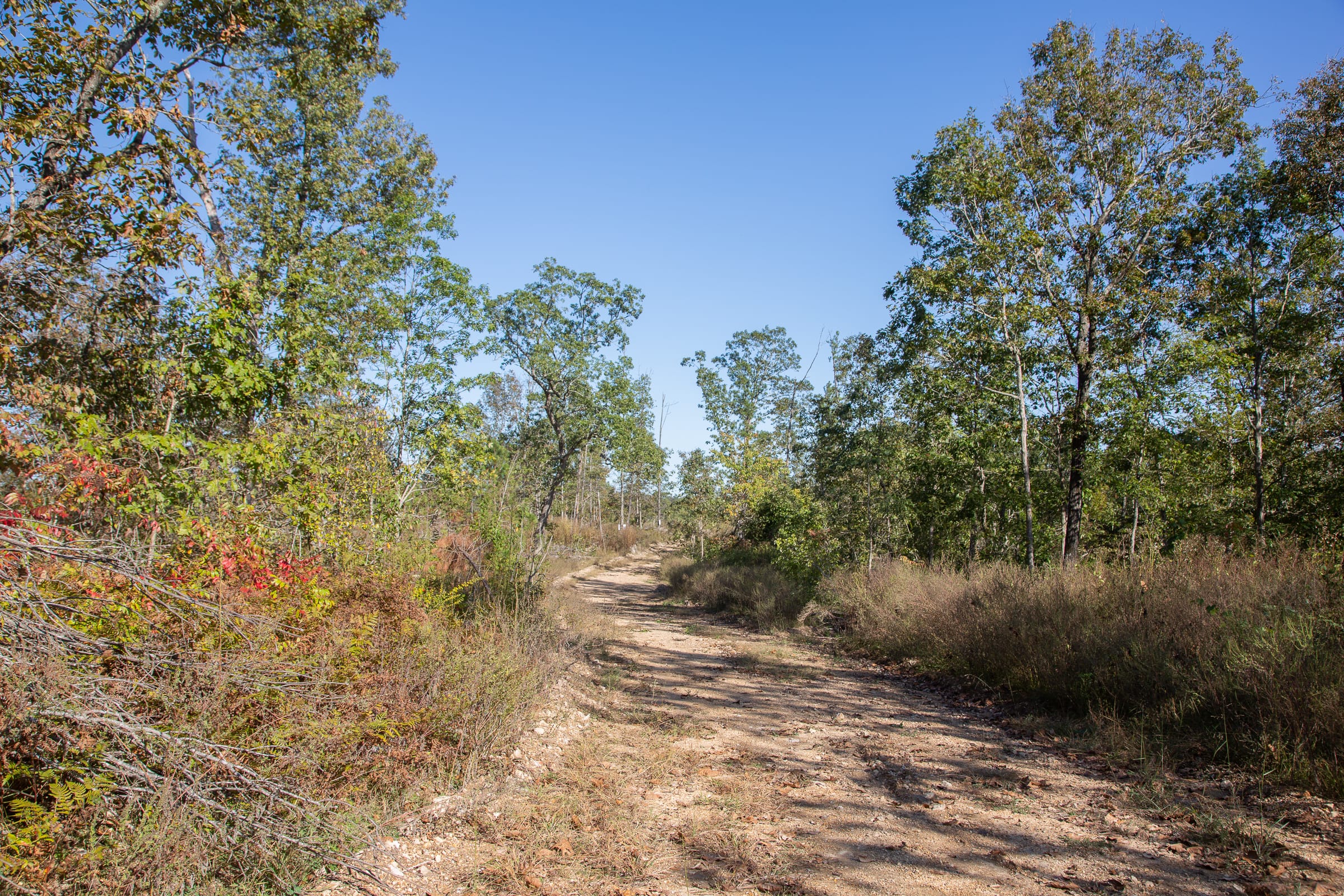 Borgmann’s Hollow Phase IV Tract 115 photo 11
