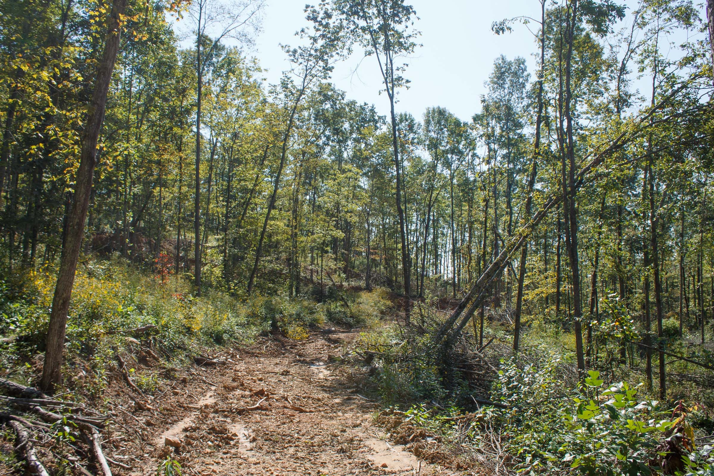 Wounded Oak Tract 4 photo 1