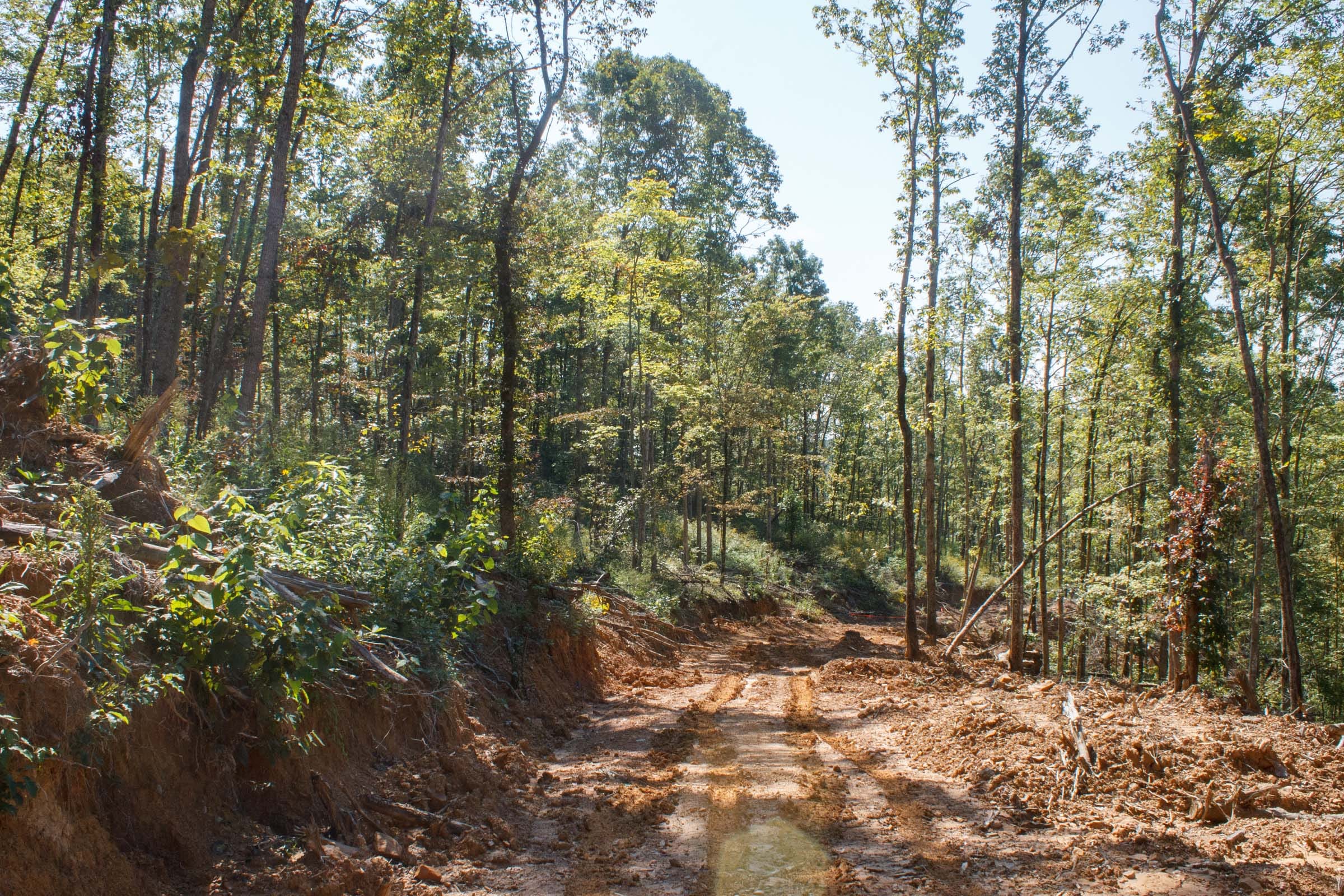 Wounded Oak Tract 4 photo 11