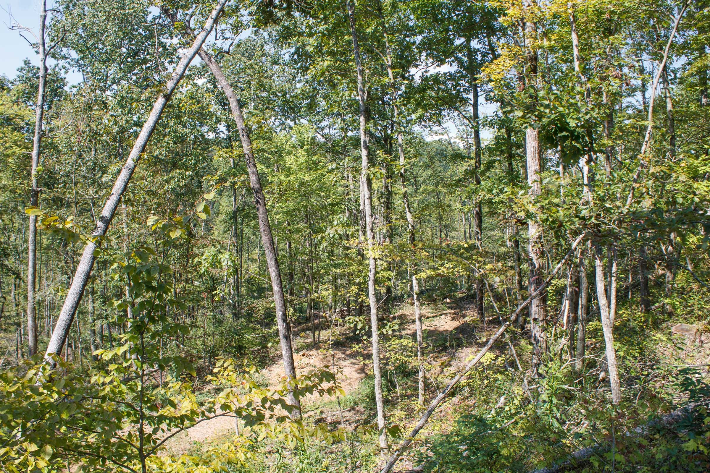 Wounded Oak Tract 4 photo 12