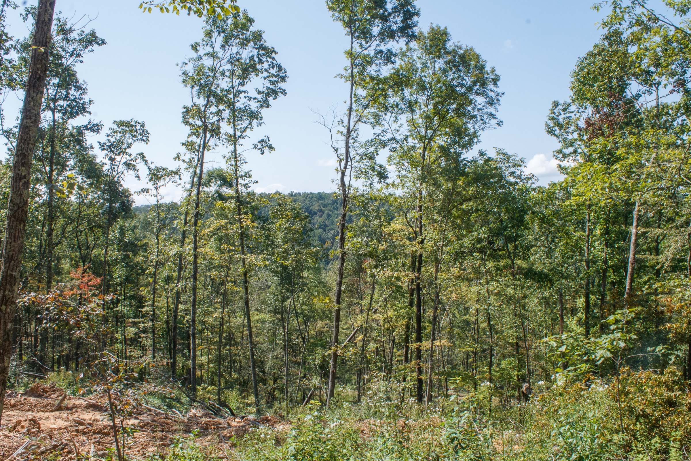 Wounded Oak Tract 4 photo 14