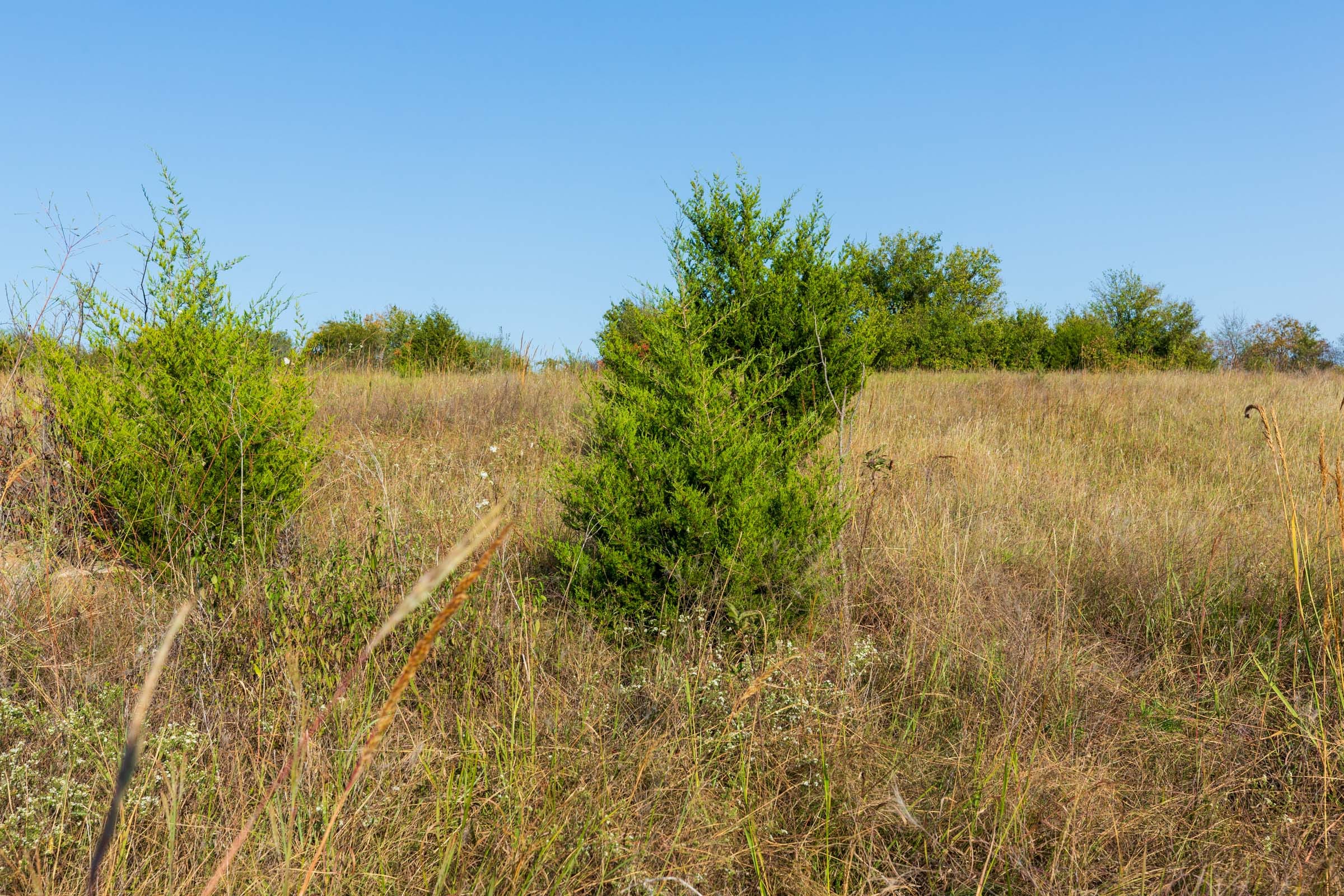 Canyon Creek Tract 11 photo 2