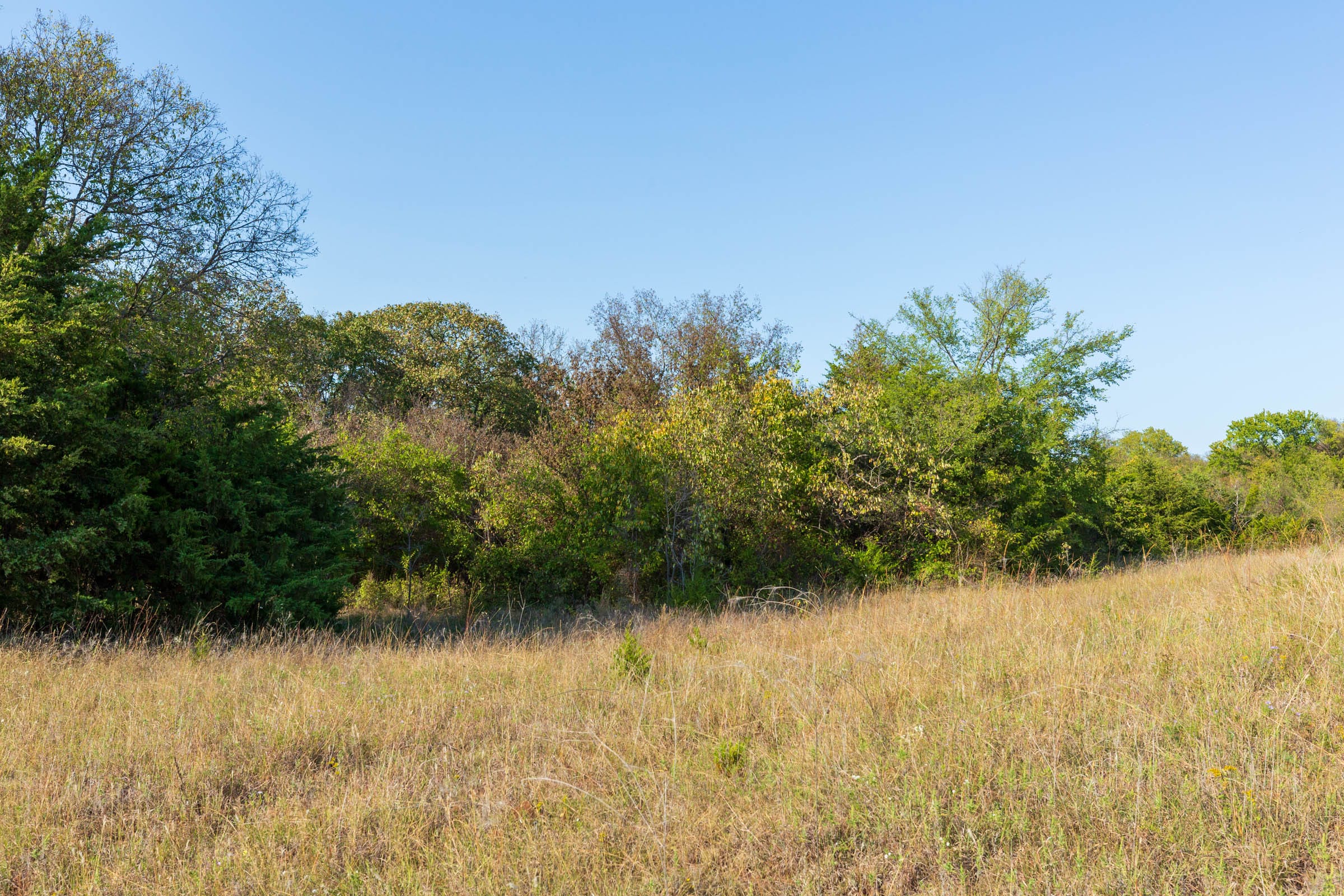 Canyon Creek Tract 11 photo 9