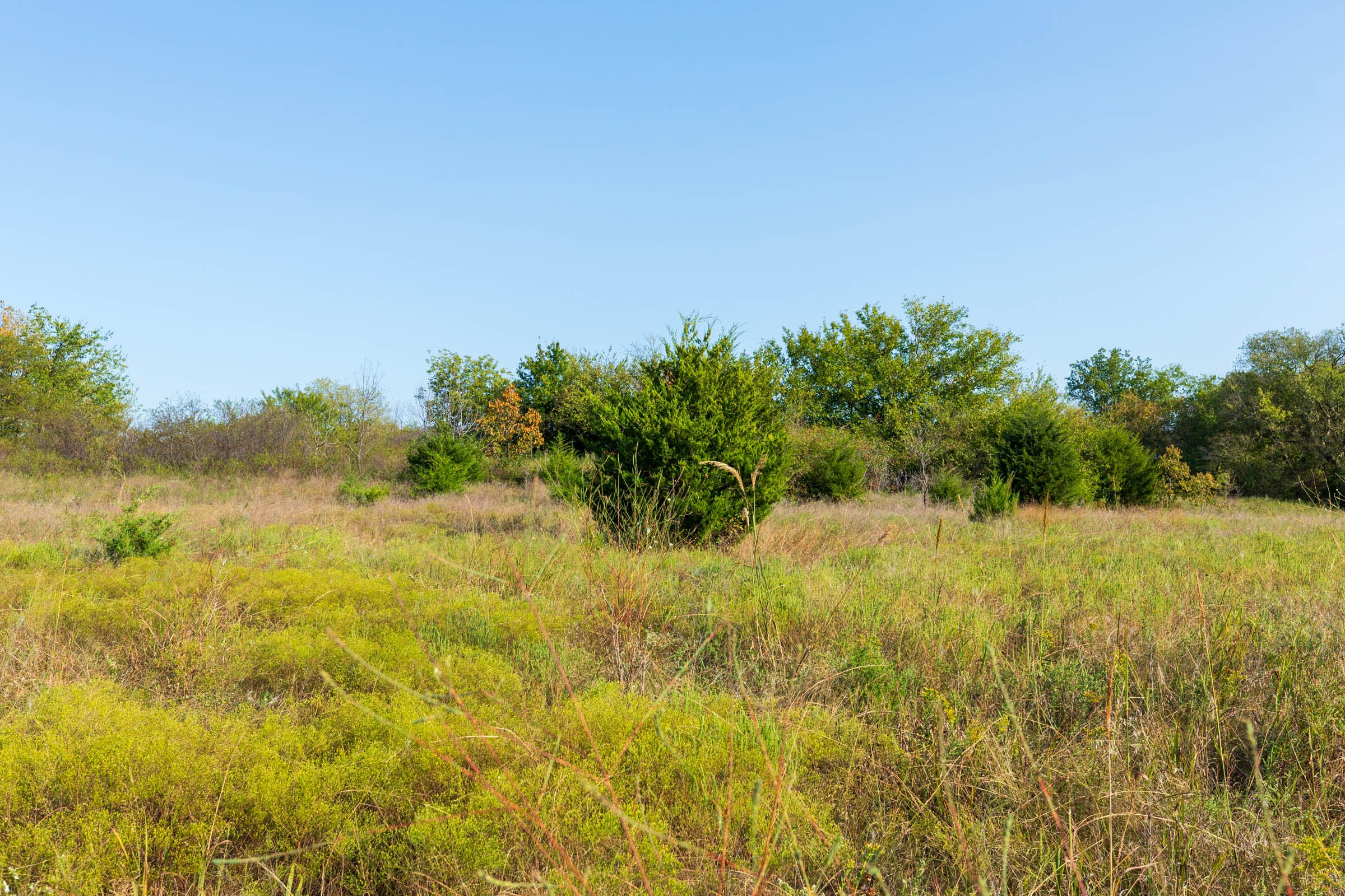Canyon Creek Tract 11 photo 5