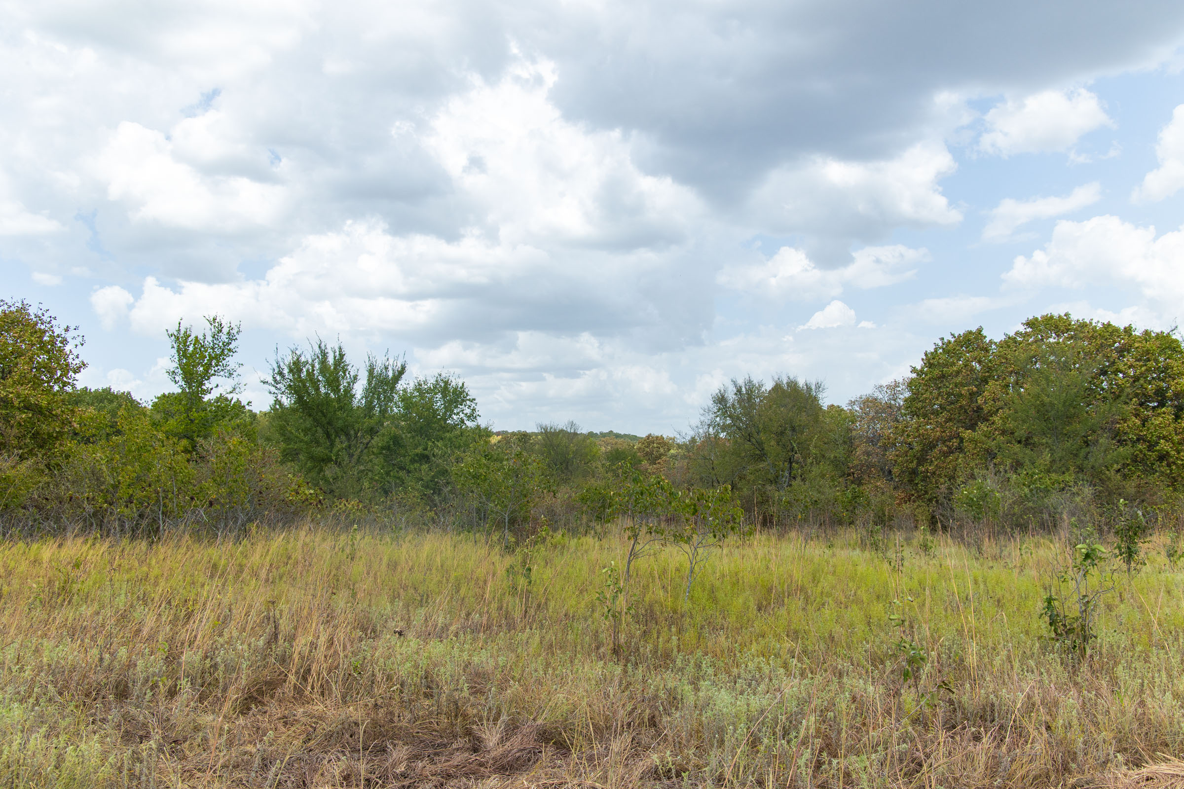Gracyn Meadows Tract 4 photo 9