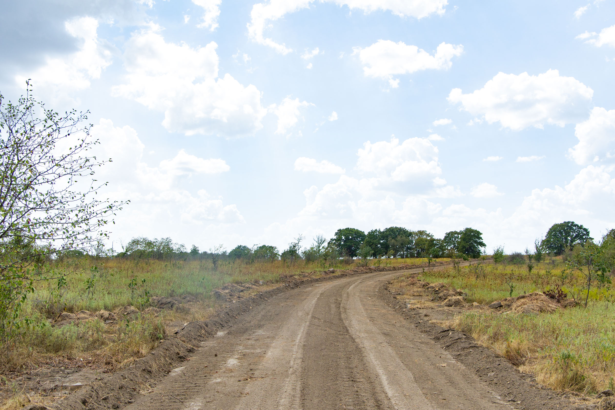 Gracyn Meadows Tract 4 photo 6