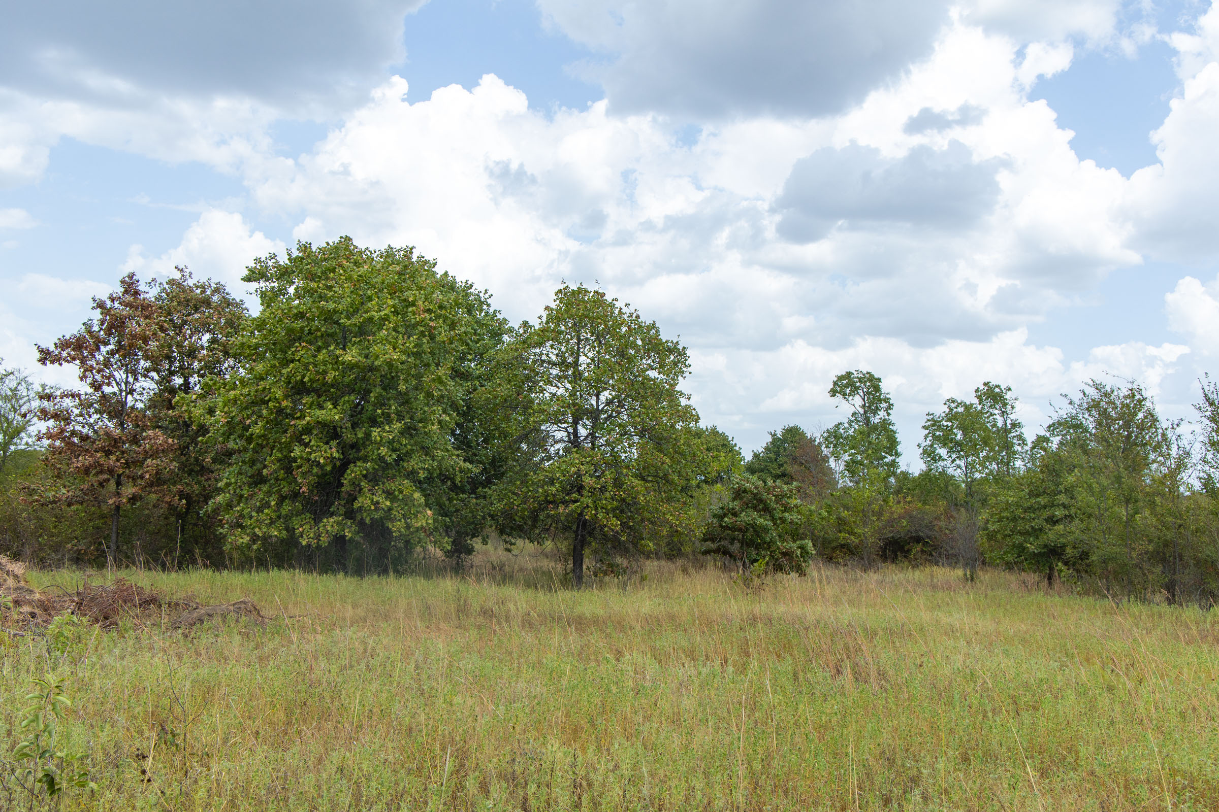 Gracyn Meadows Tract 4 photo 8