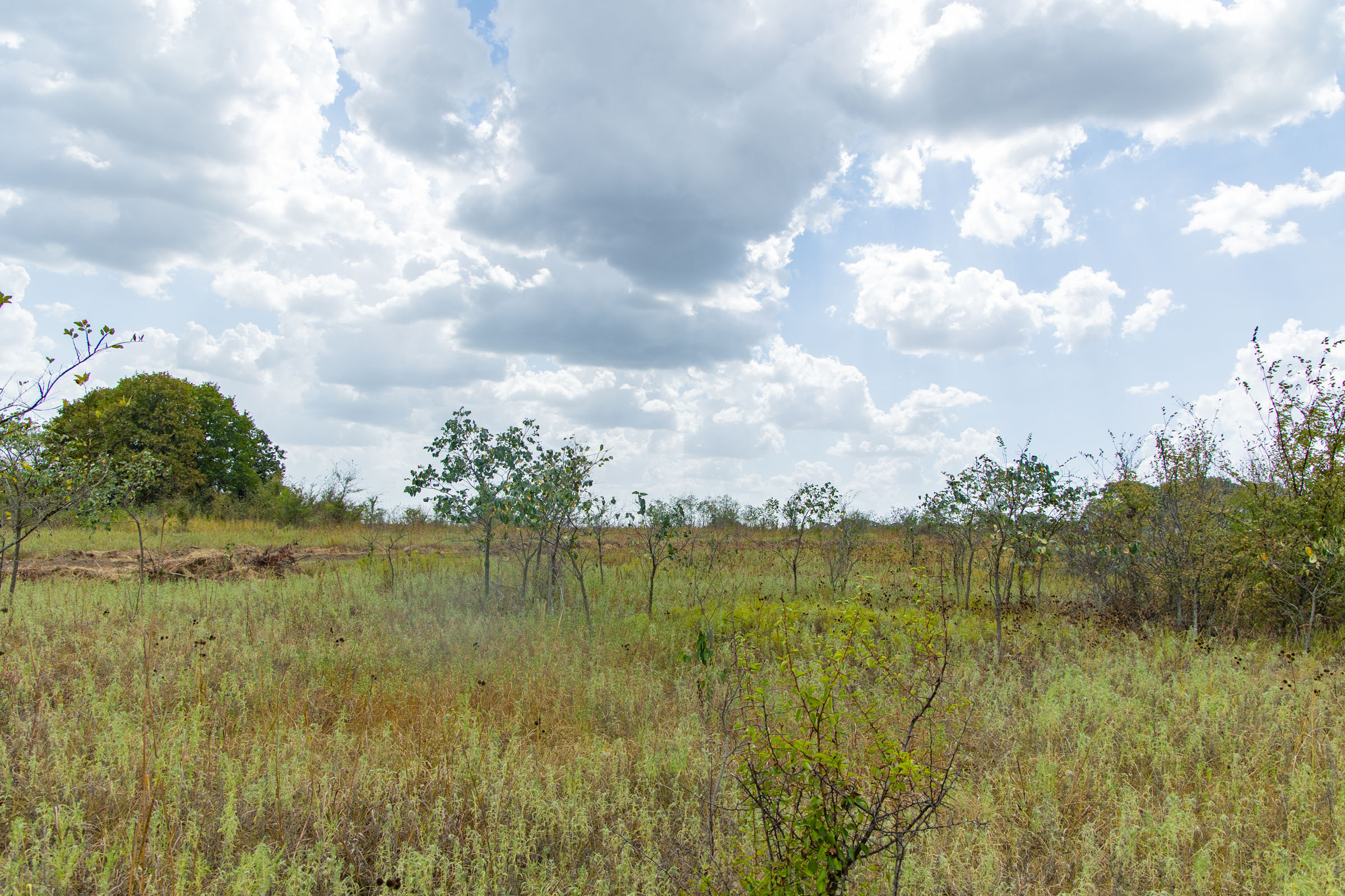 Gracyn Meadows Tract 4 photo 2
