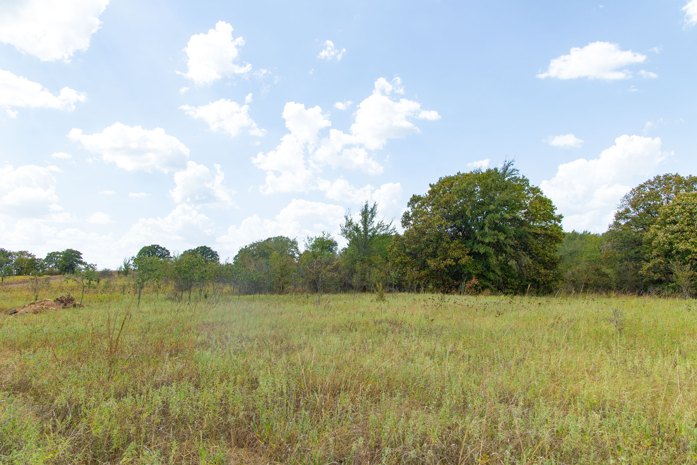 Gracyn Meadows Tract 4 photo 12