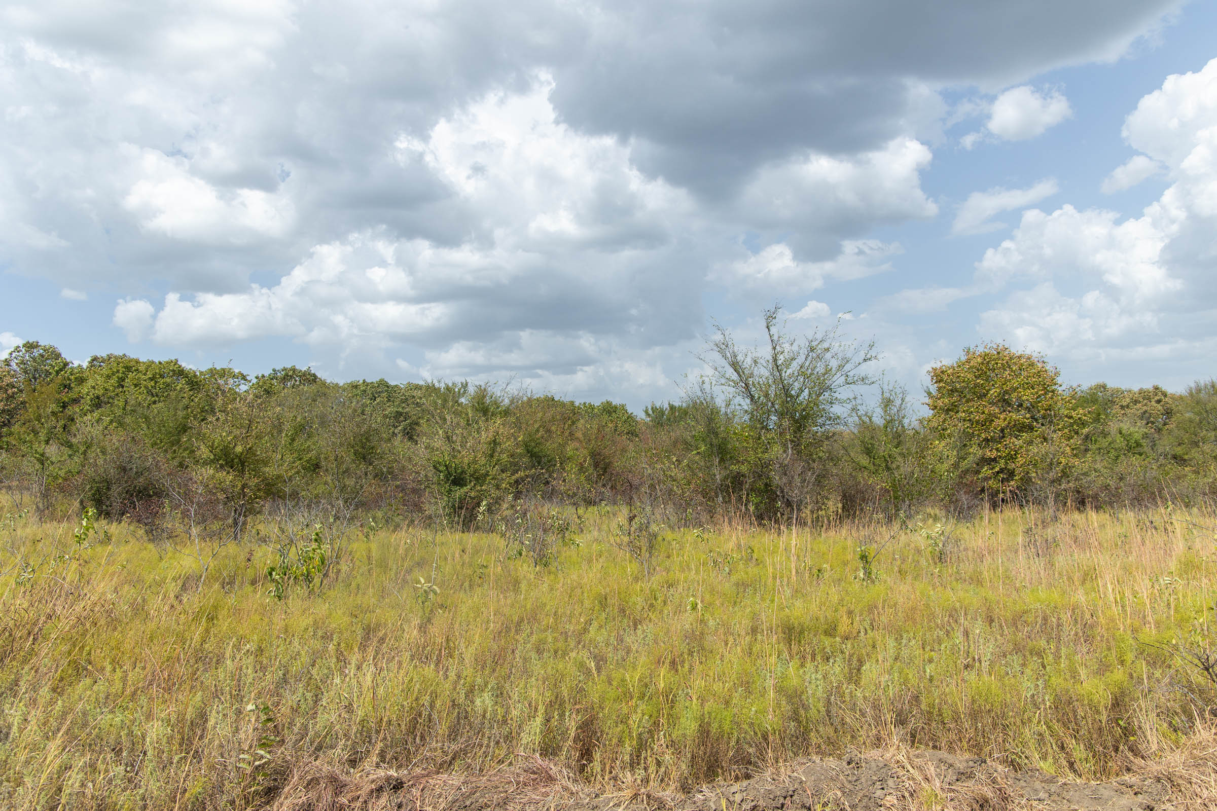 Gracyn Meadows Tract 4 photo 14