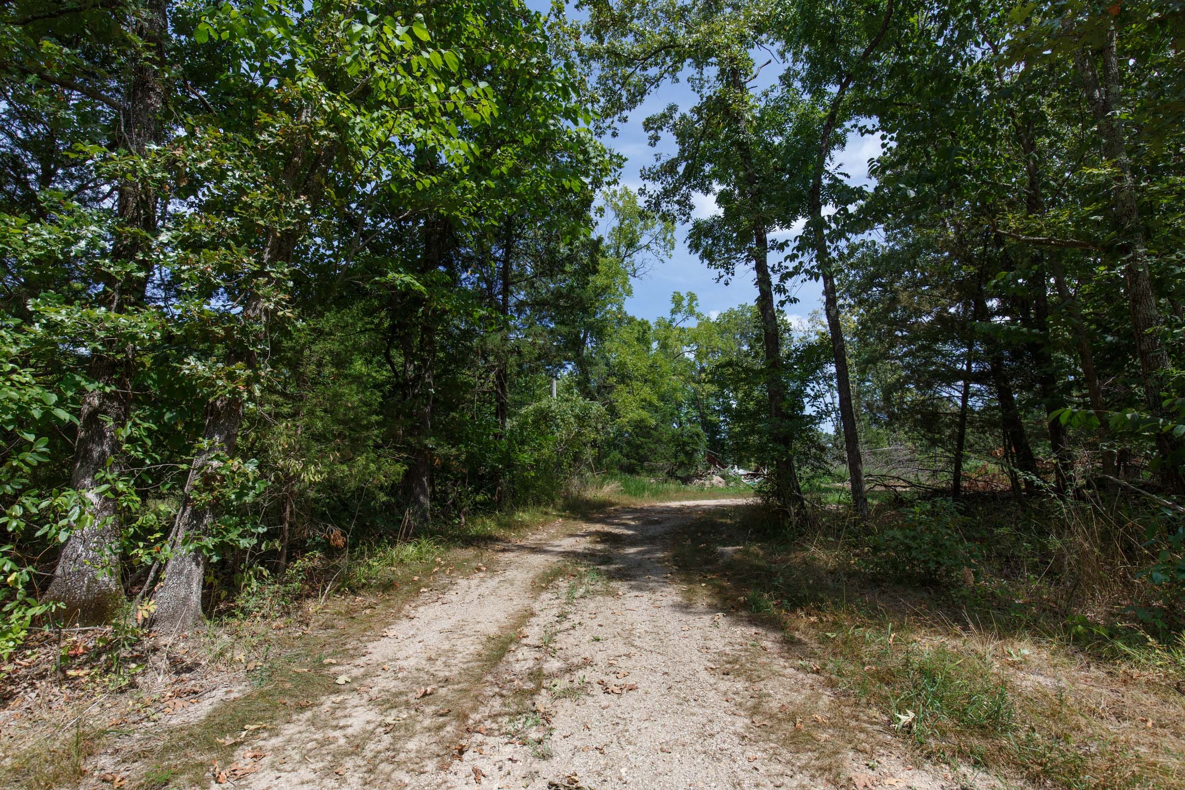 Wildwood Tract 2 photo 5