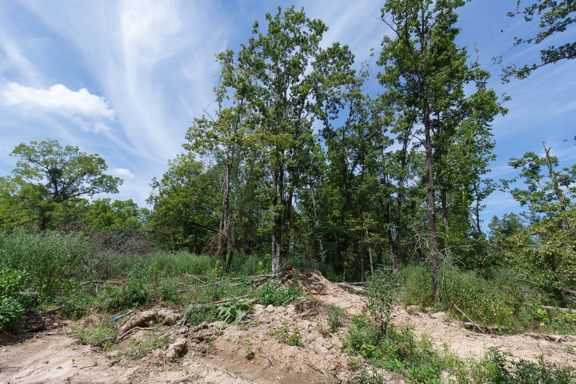 Wildwood Tract 2 photo 7