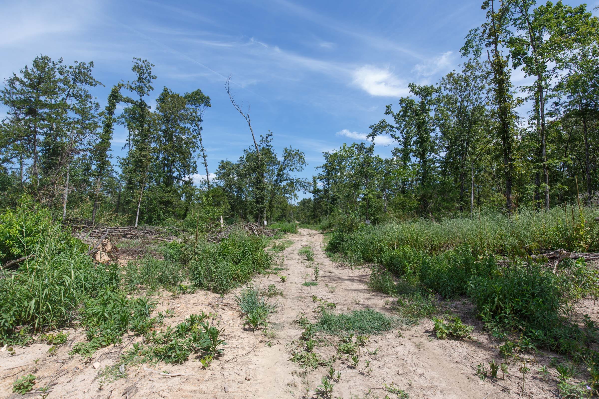 Wildwood Tract 2 photo 10