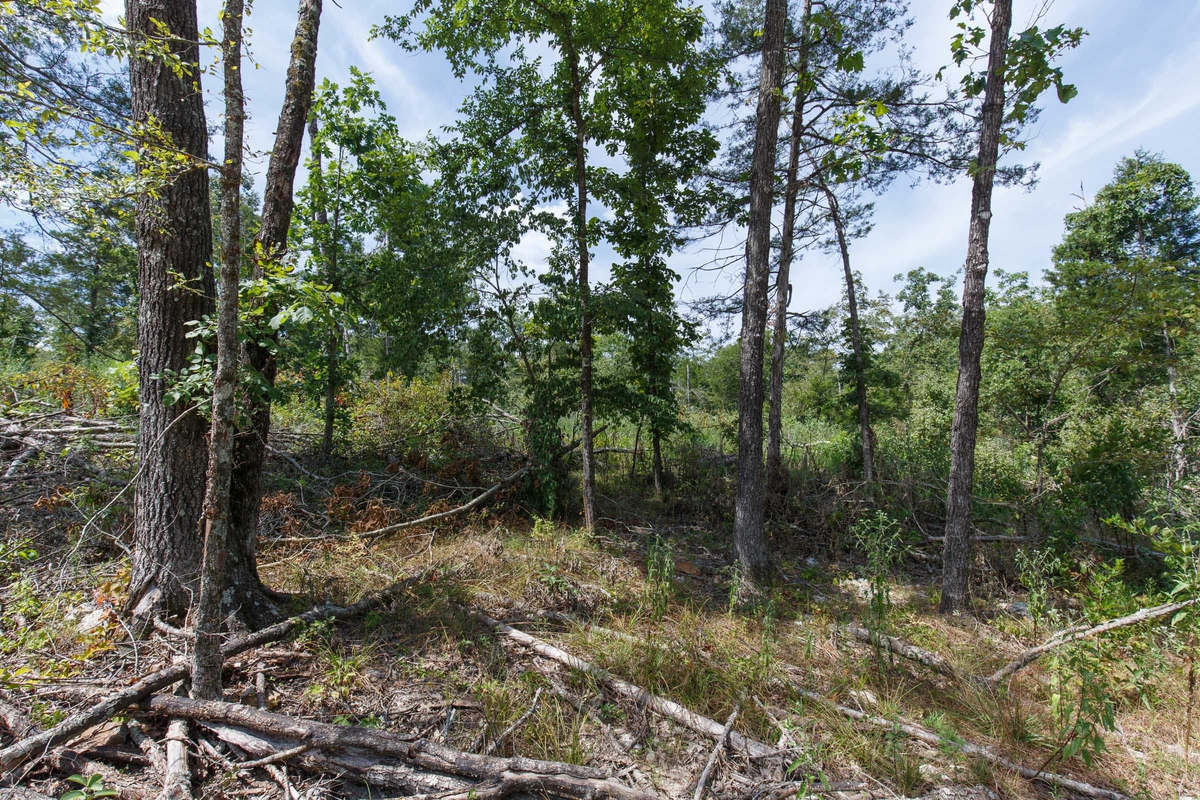 Wildwood Tract 2 photo 13