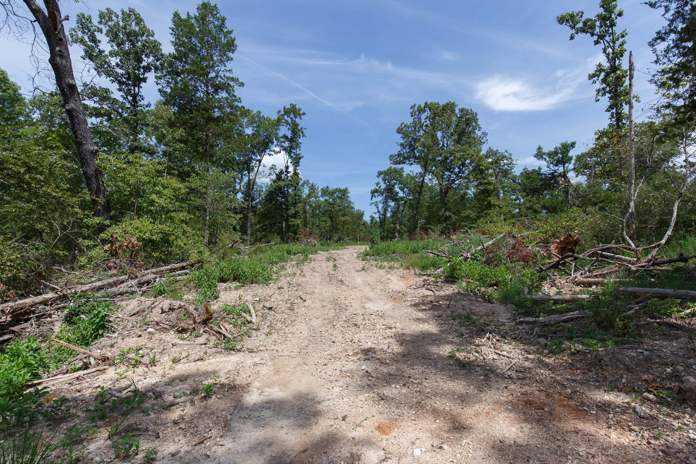 Wildwood Tract 2 photo 12
