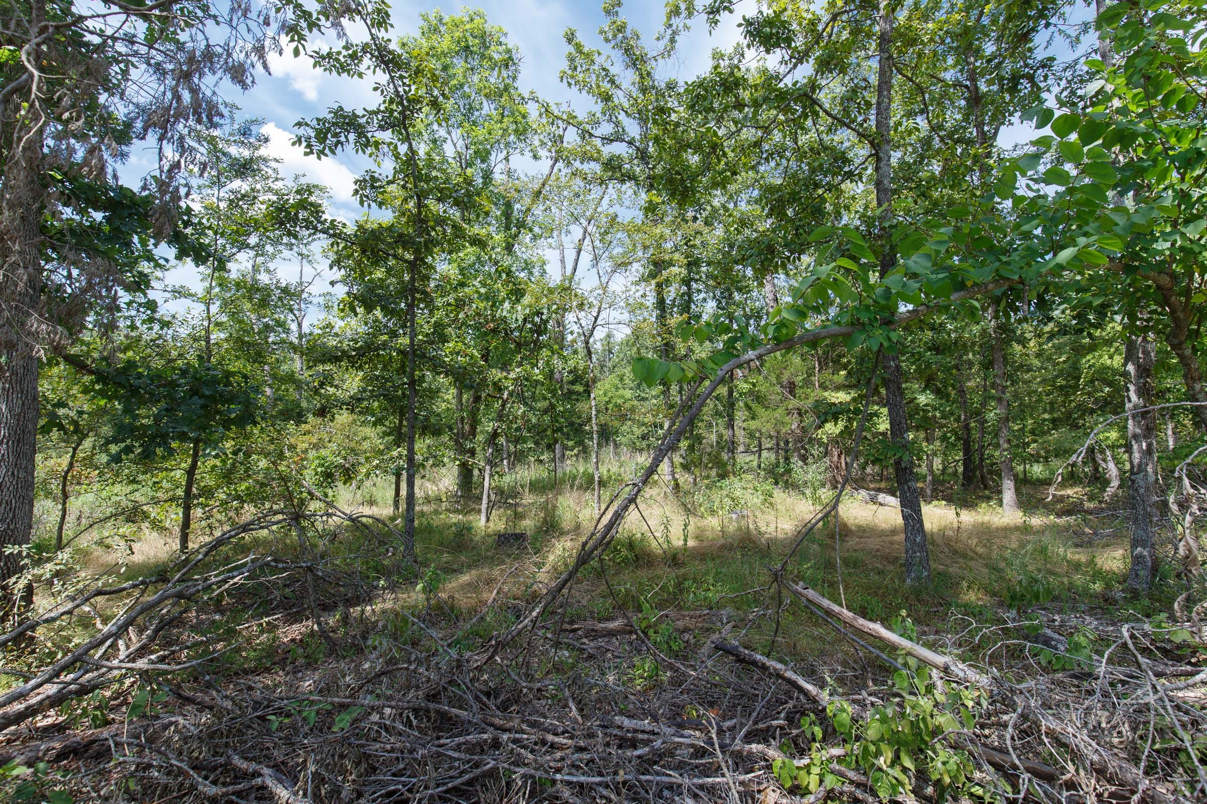 Wildwood Tract 2 photo 6