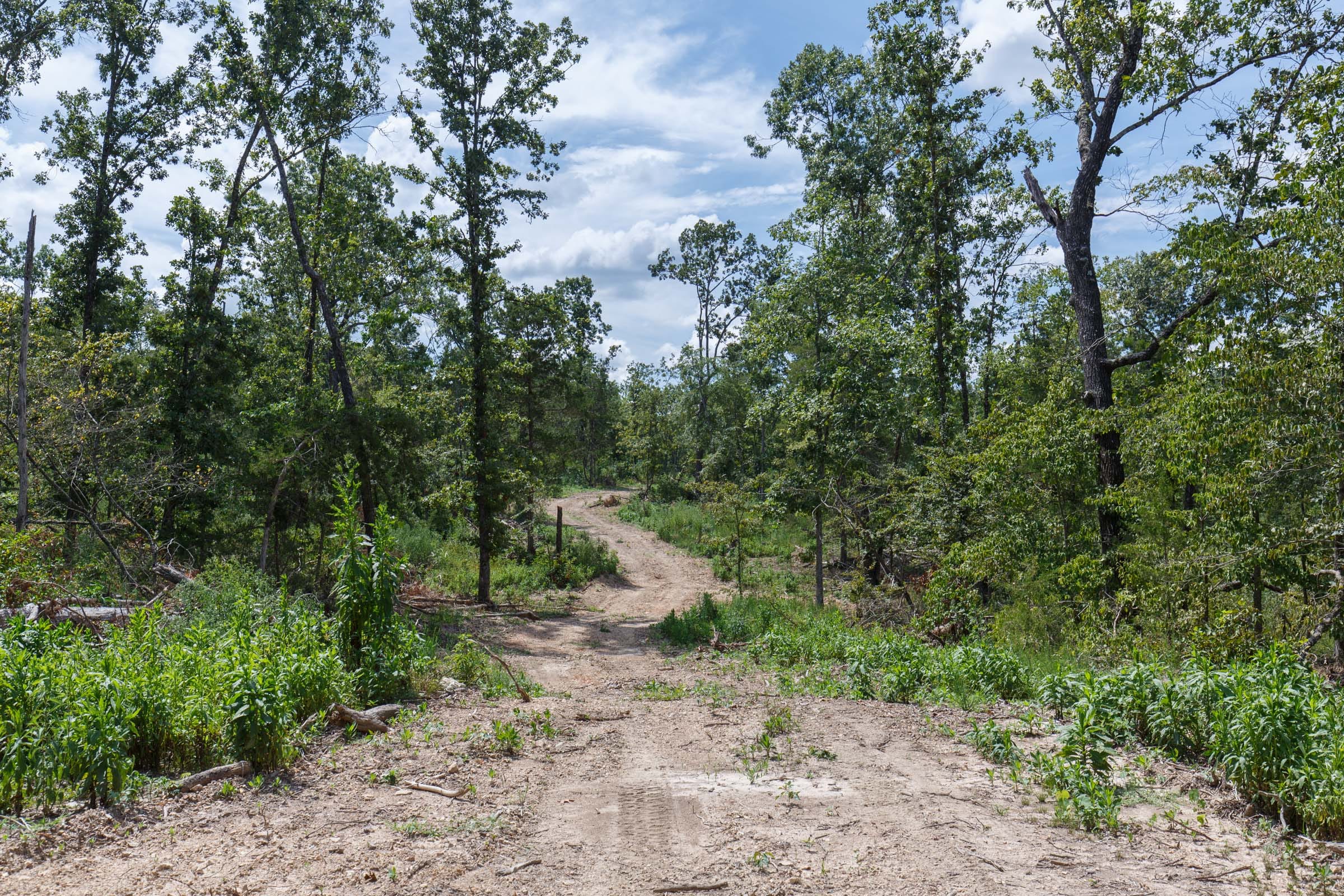 Wildwood Tract 2 photo 2