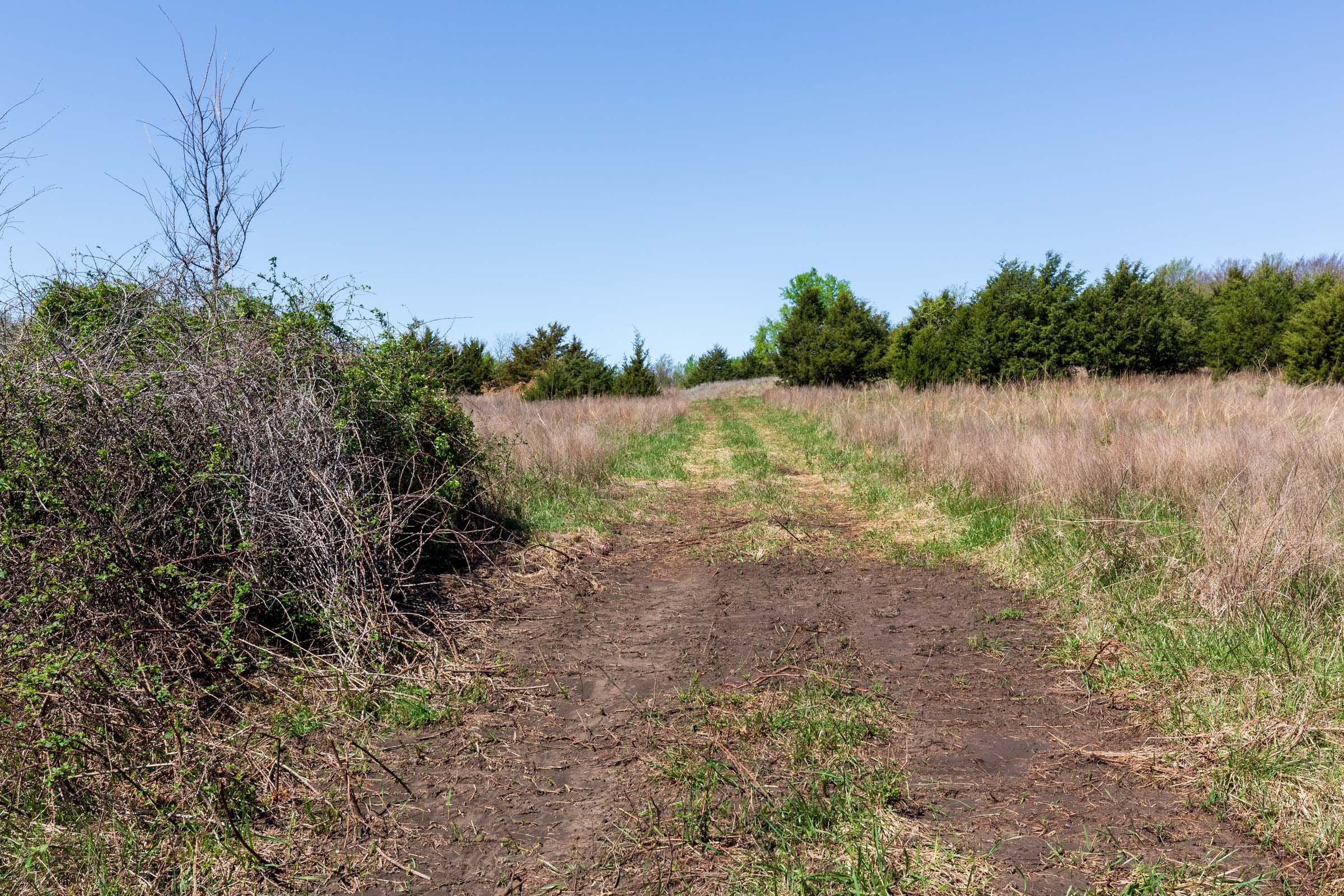 Prairie Grove Tract 19 photo 10